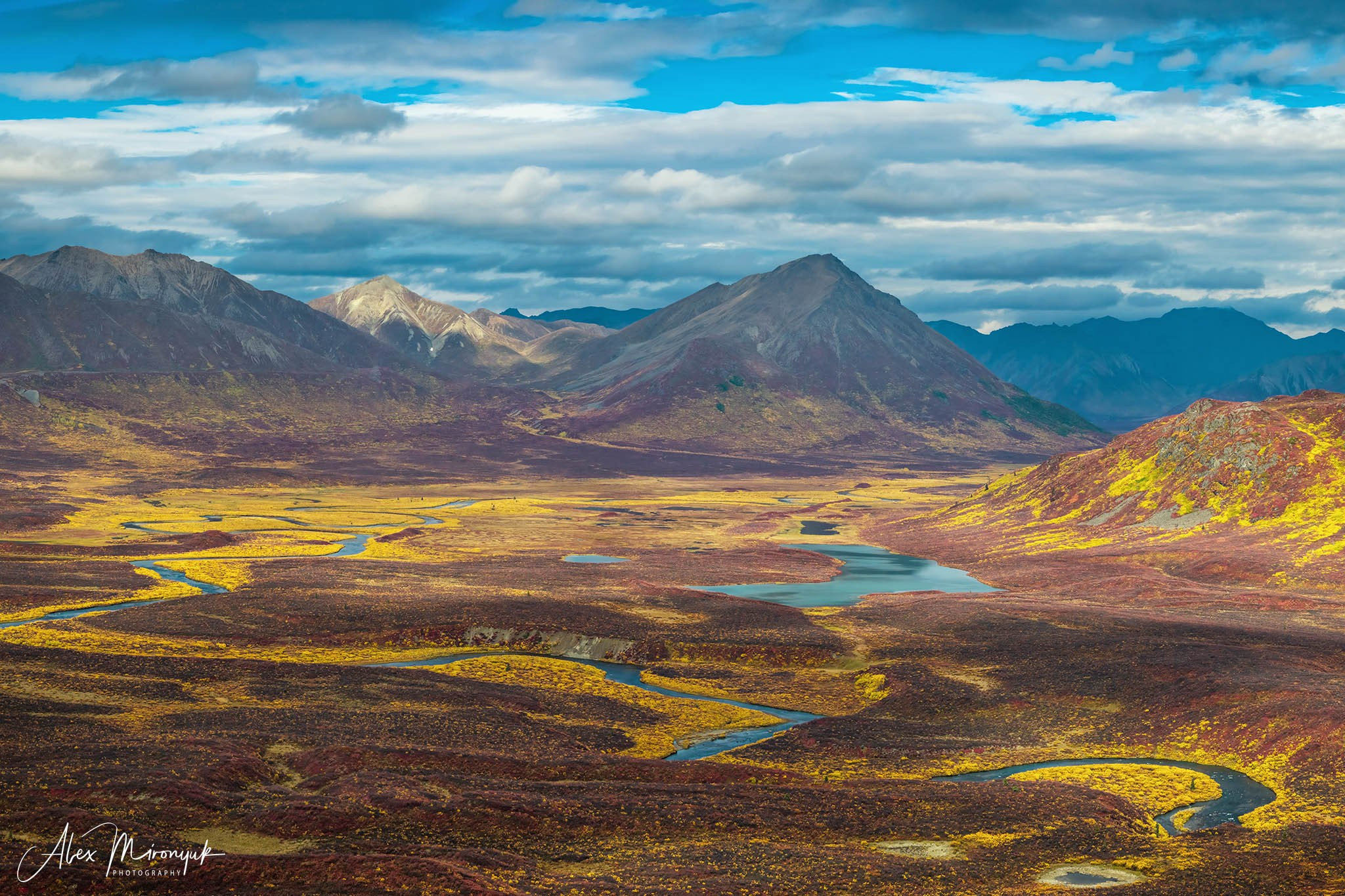 Alaskan Fall Colors. Pet, Senior, Landscape, portrait studio, photographer in Miami and Sou