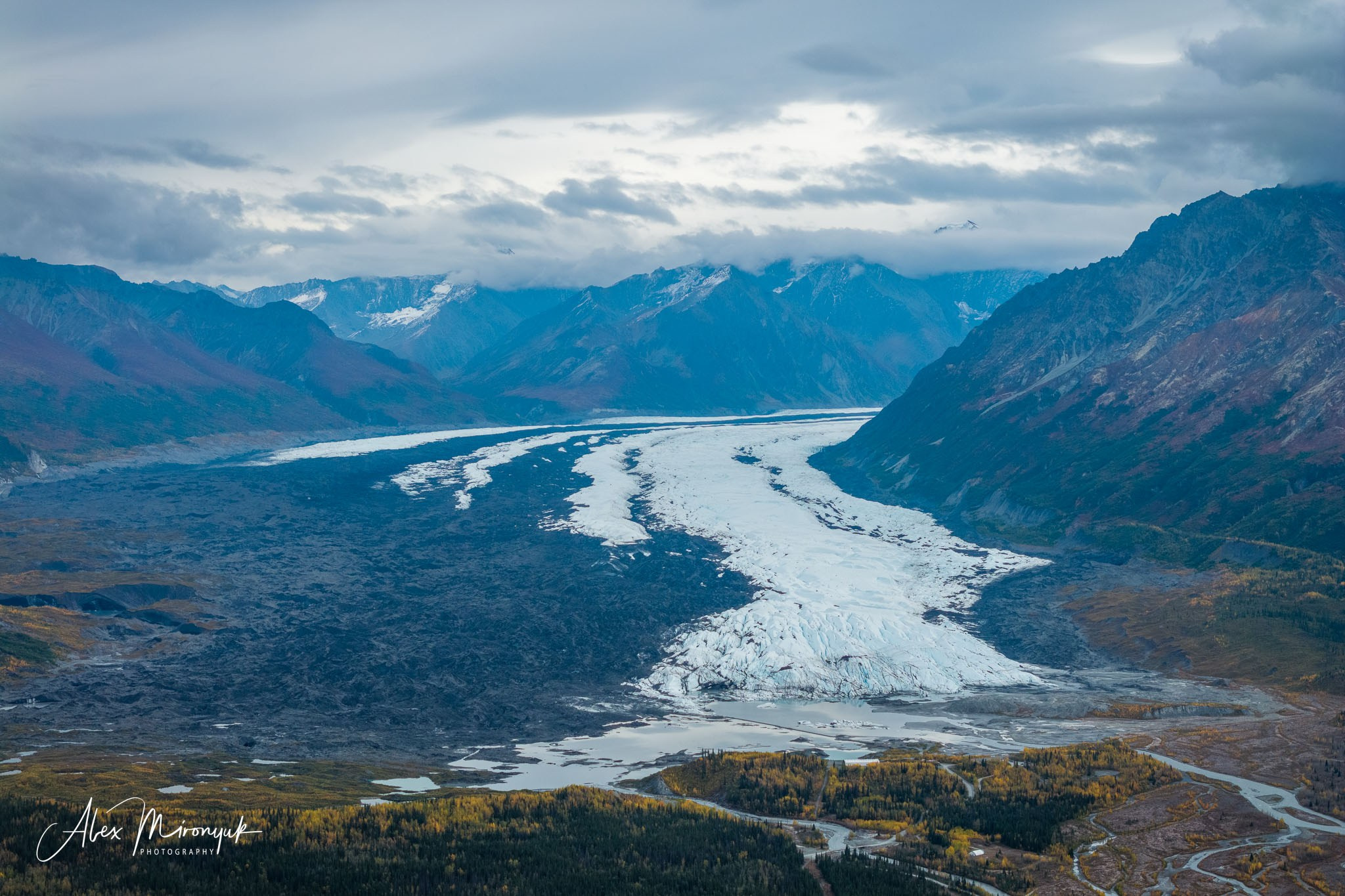 Alaskan Fall Colors. Pet, Senior, Landscape, portrait studio, photographer in Miami and Sou