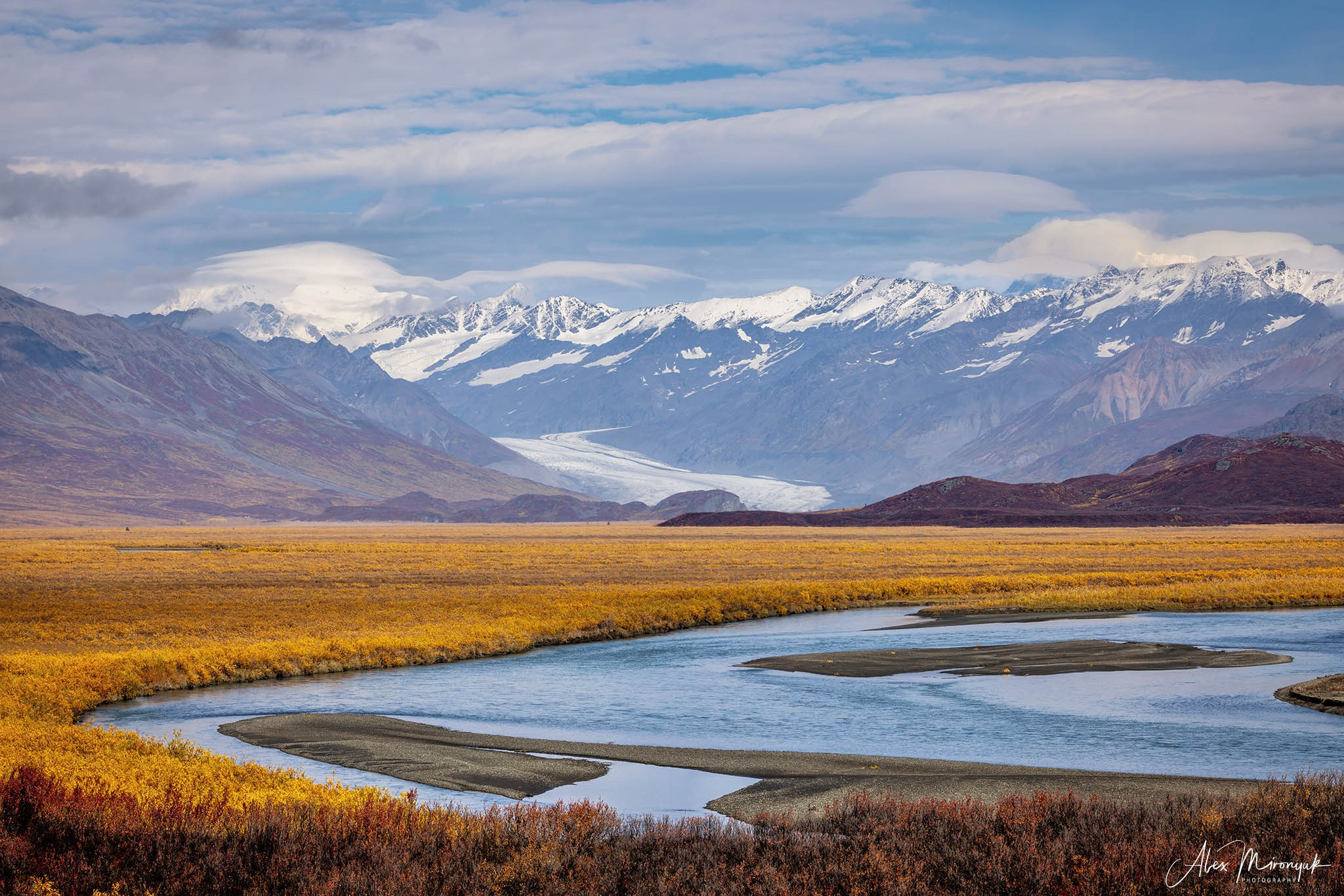 Alaskan Fall Colors. Pet, Senior, Landscape, portrait studio, photographer in Miami and Sou