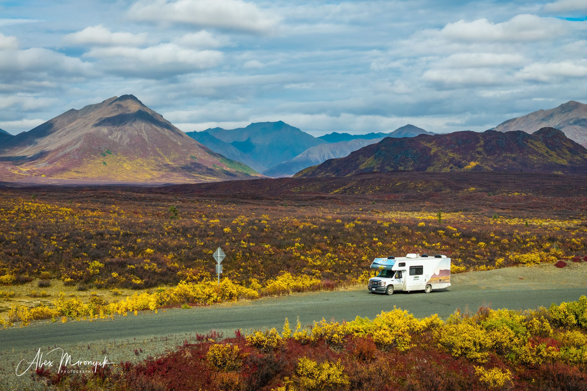 Alaskan Fall Colors. Pet, Senior, Landscape, portrait studio, photographer in Miami and Sou