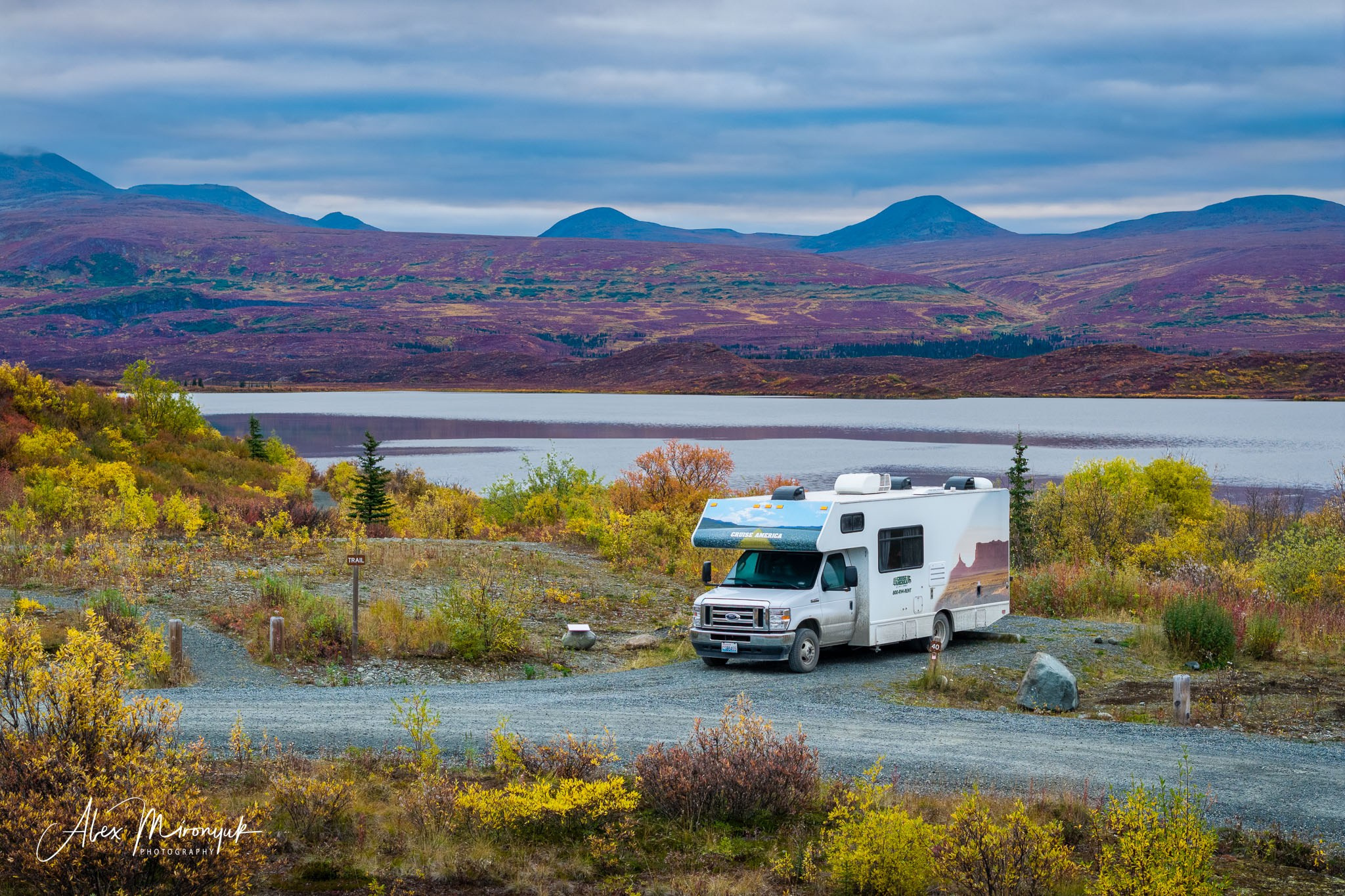 Alaskan Fall Colors. Pet, Senior, Landscape, portrait studio, photographer in Miami and Sou