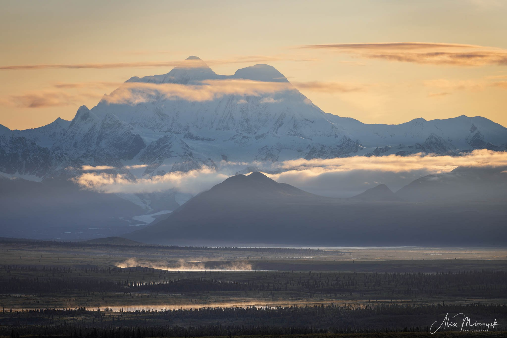 Alaskan Fall Colors. Pet, Senior, Landscape, portrait studio, photographer in Miami and Sou