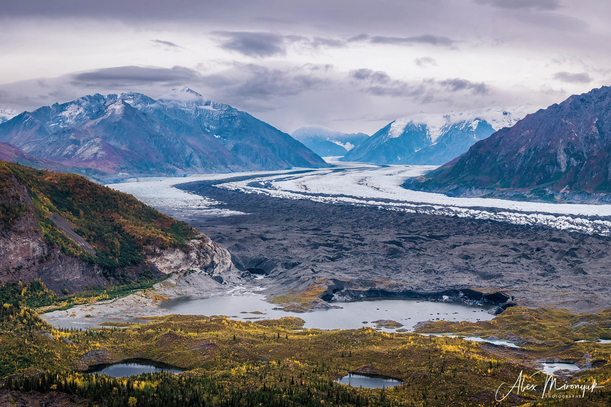 Alaskan Fall Colors. Pet, Senior, Landscape, portrait studio, photographer in Miami and Sou