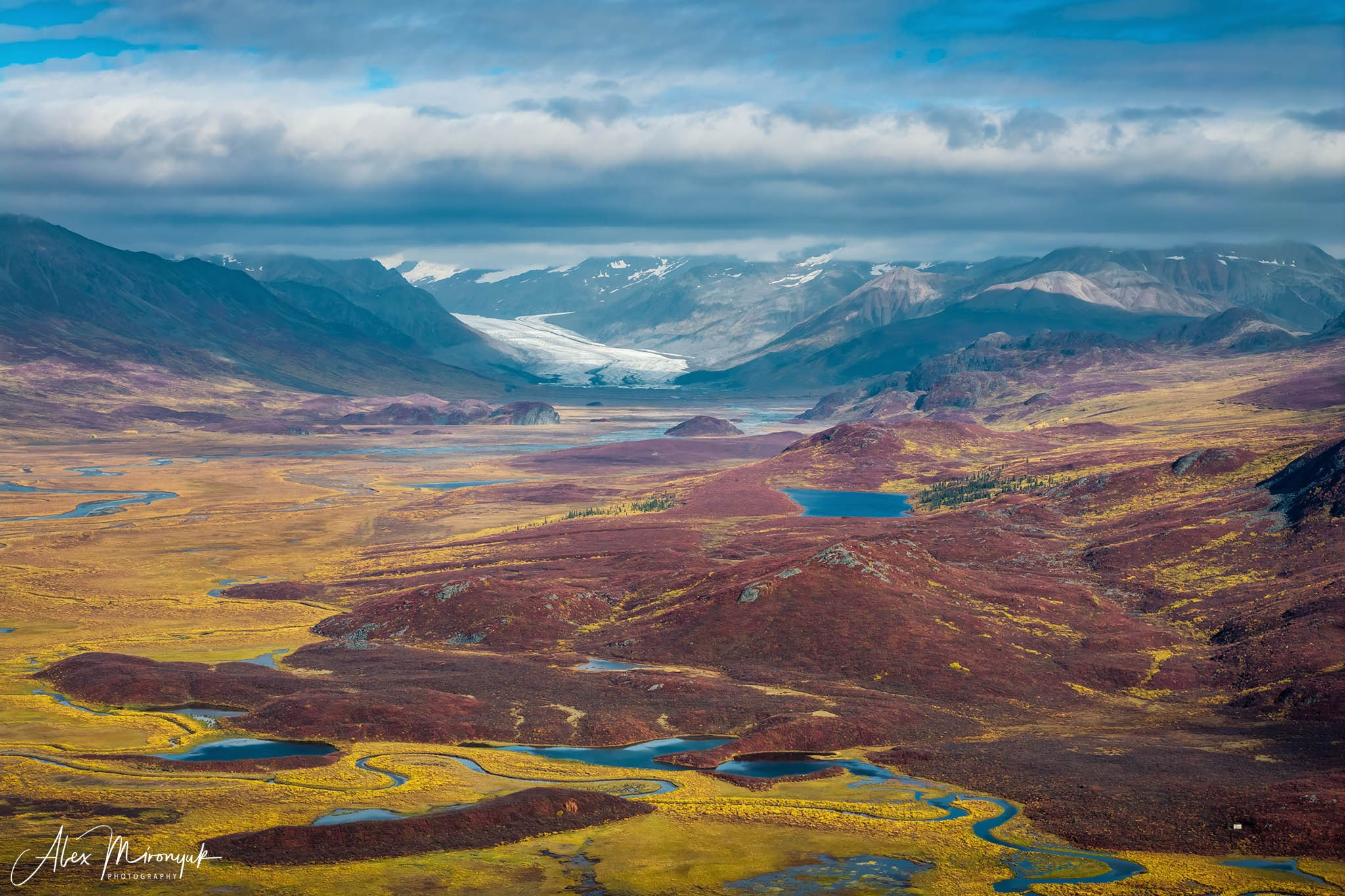 Alaskan Fall Colors. Pet, Senior, Landscape, portrait studio, photographer in Miami and Sou