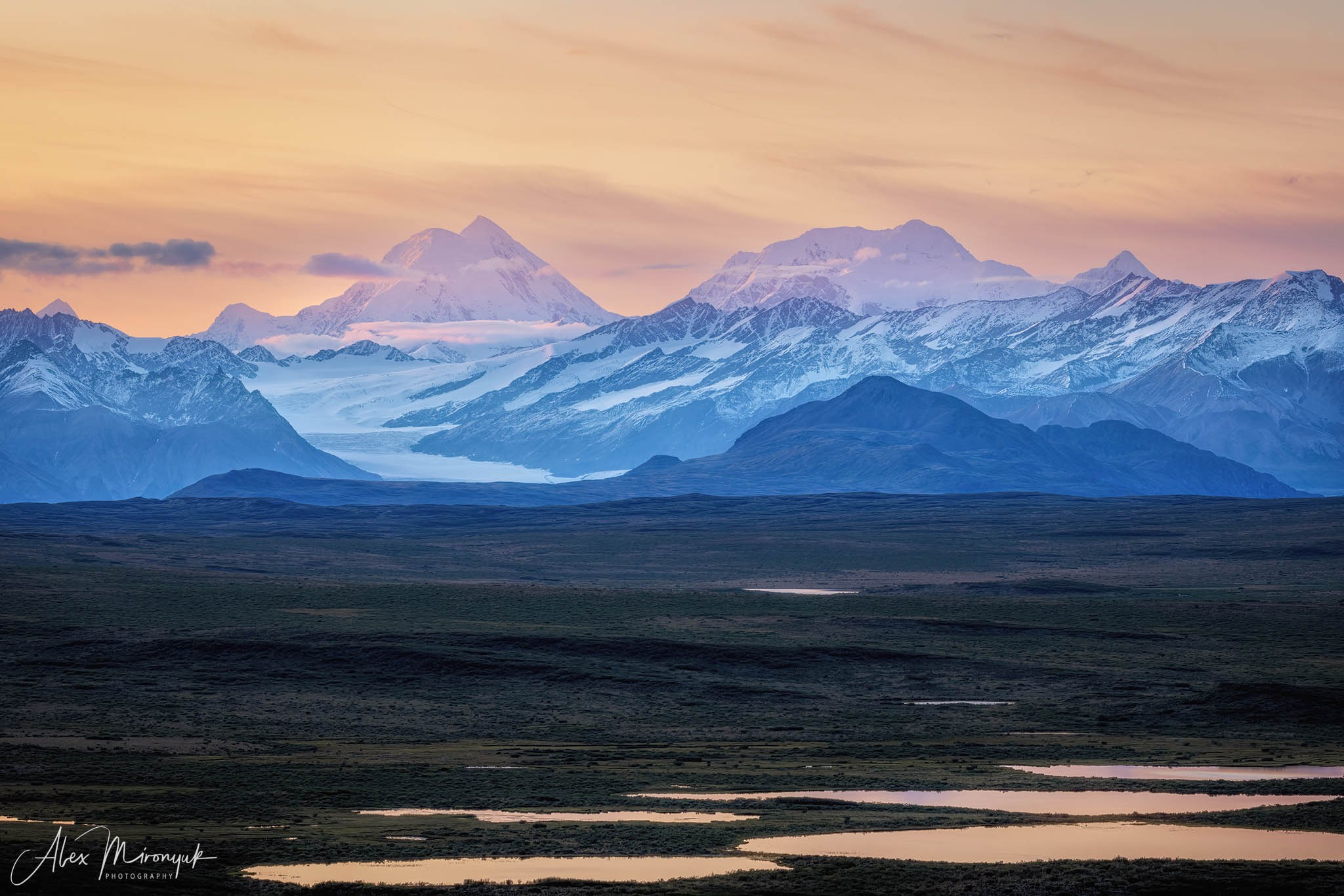 Alaskan Fall Colors. Pet, Senior, Landscape, portrait studio, photographer in Miami and Sou