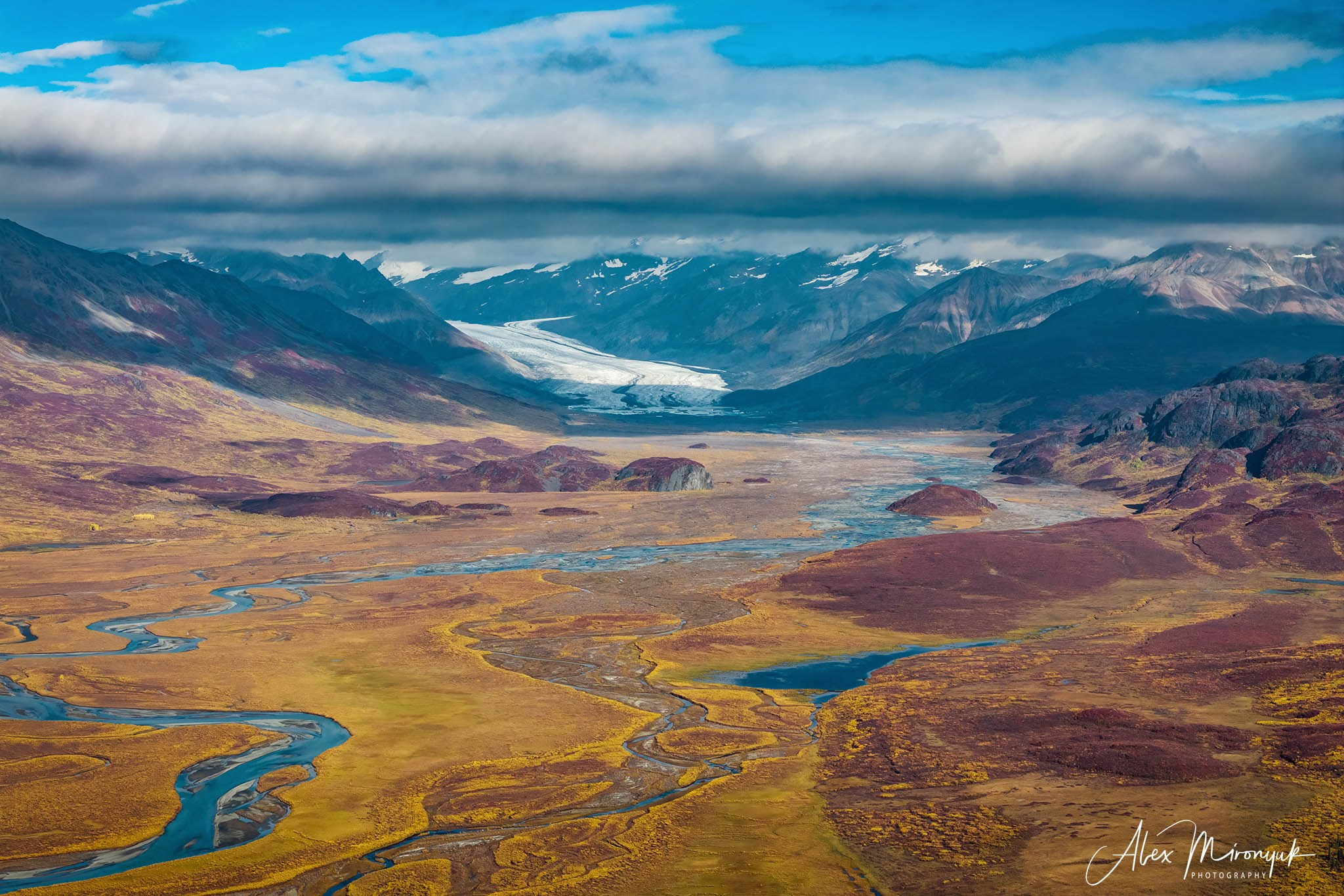 Alaskan Fall Colors. Pet, Senior, Landscape, portrait studio, photographer in Miami and Sou