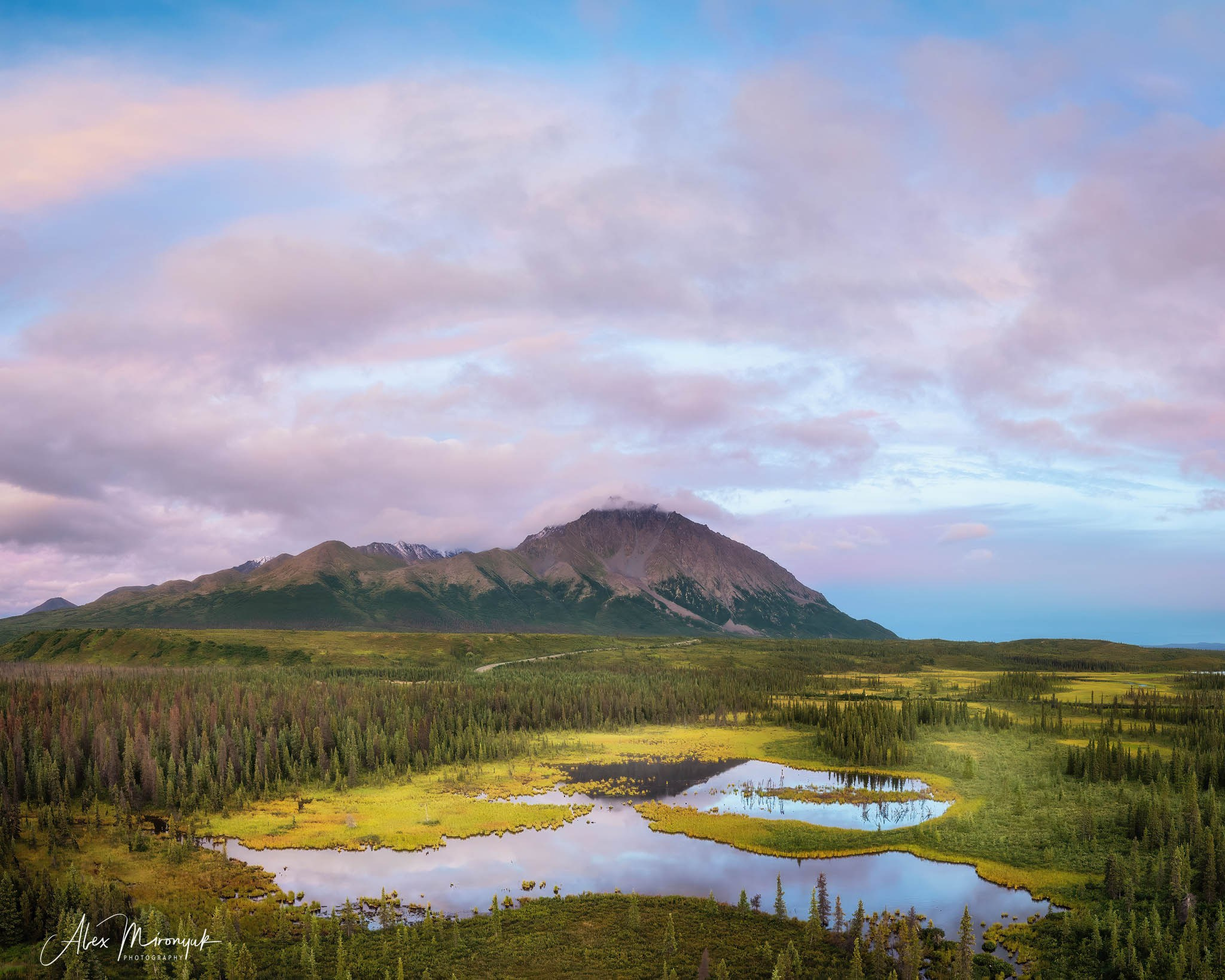 Alaskan Fall Colors. Pet, Senior, Landscape, portrait studio, photographer in Miami and Sou