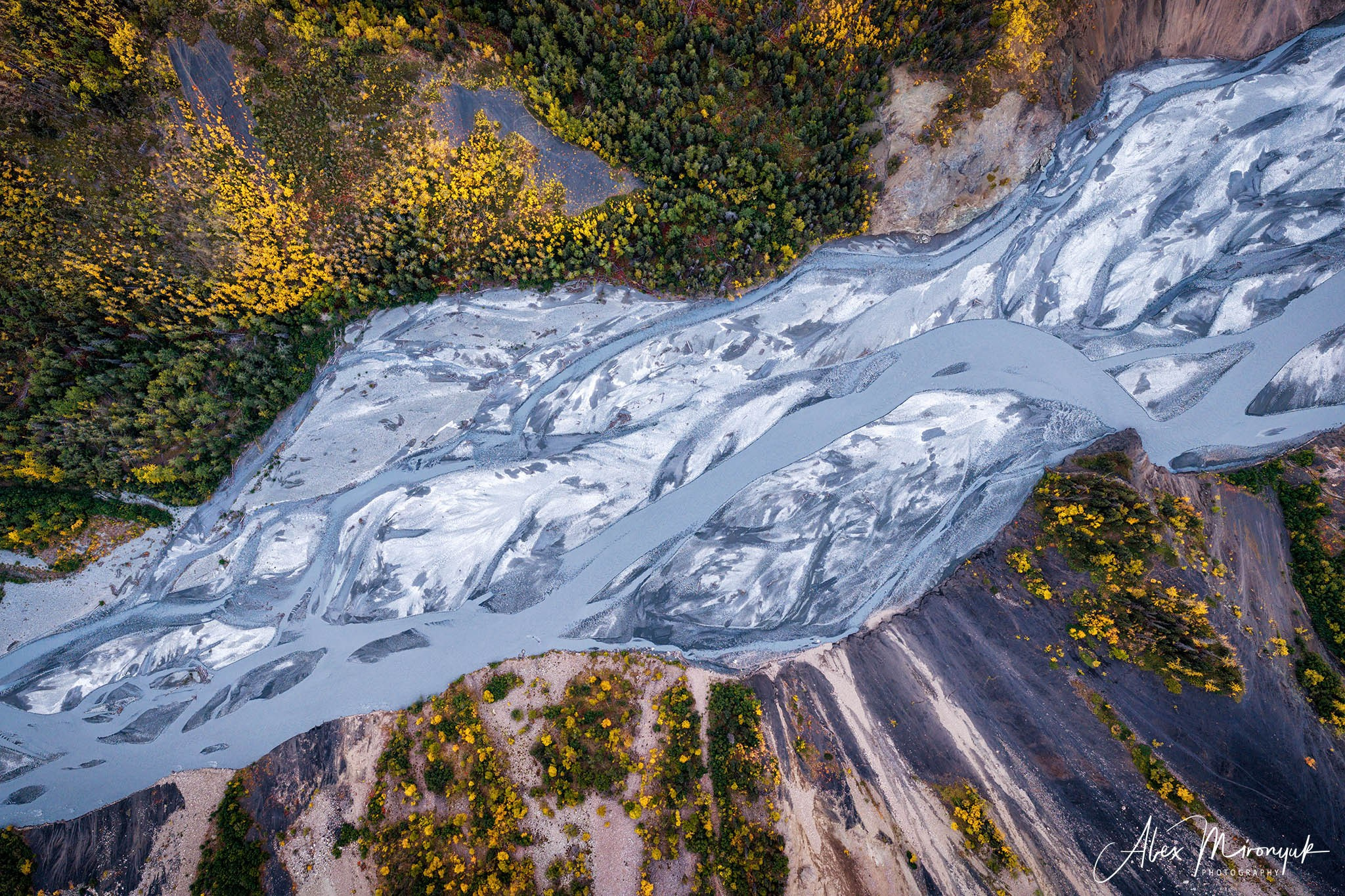 Alaskan Fall Colors. Pet, Senior, Landscape, portrait studio, photographer in Miami and Sou