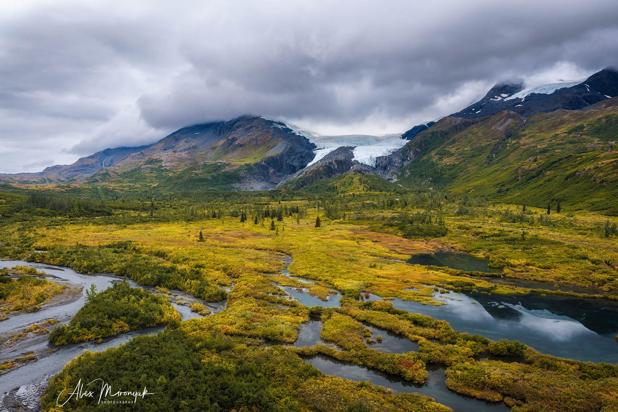 Alaskan Fall Colors. Pet, Senior, Landscape, portrait studio, photographer in Miami and Sou