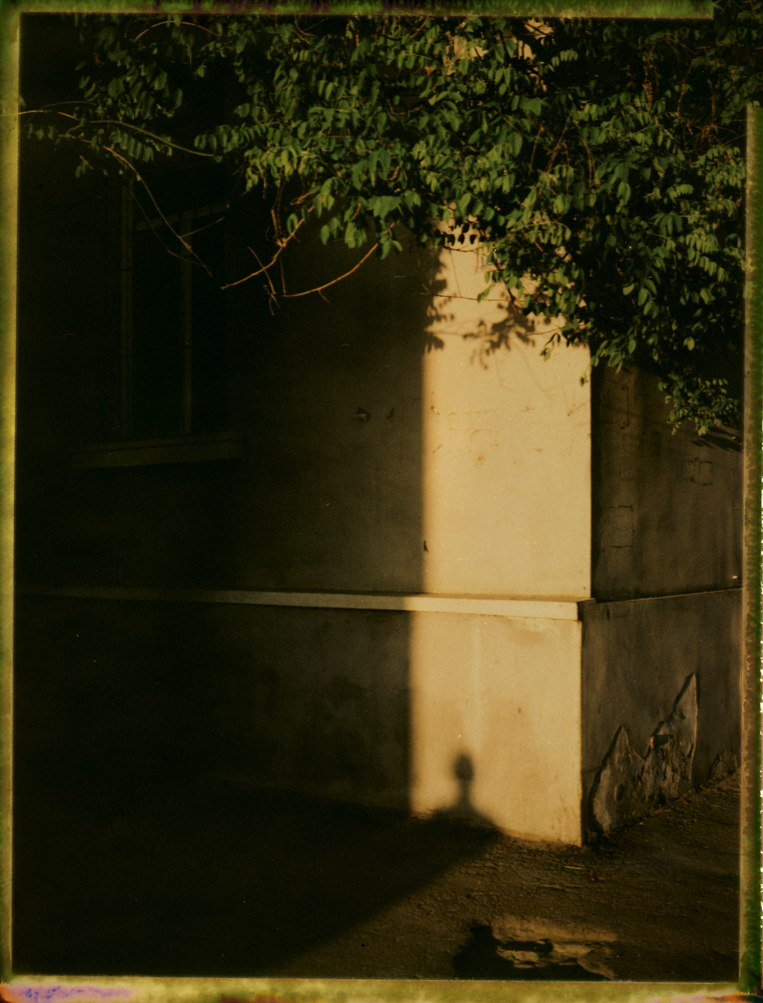 POLAROID. Www.sananaleskerov.com