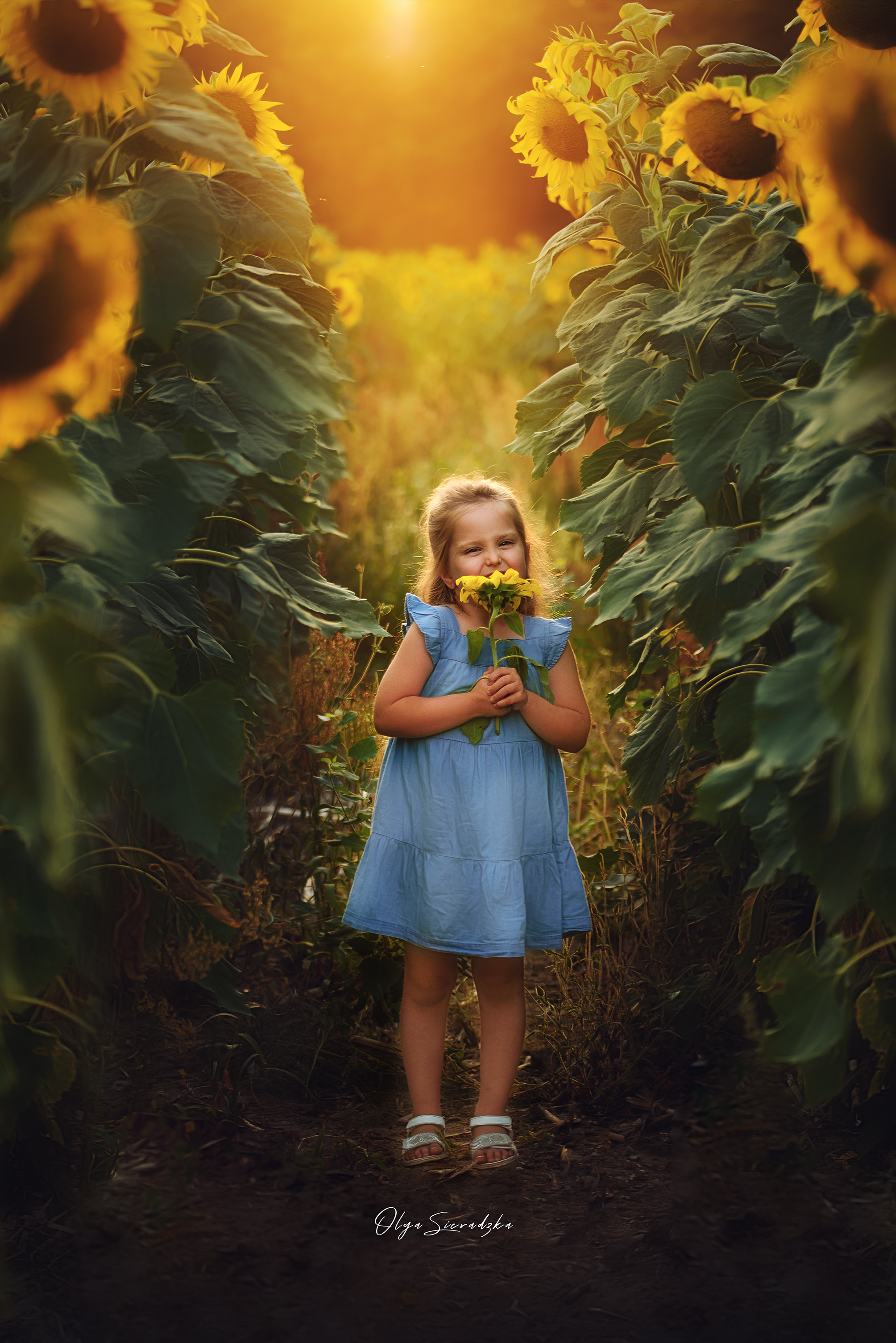 Oferta. Olga Sieradzka fotograf rodzinny, ciążowy i dziecięcy w Pile