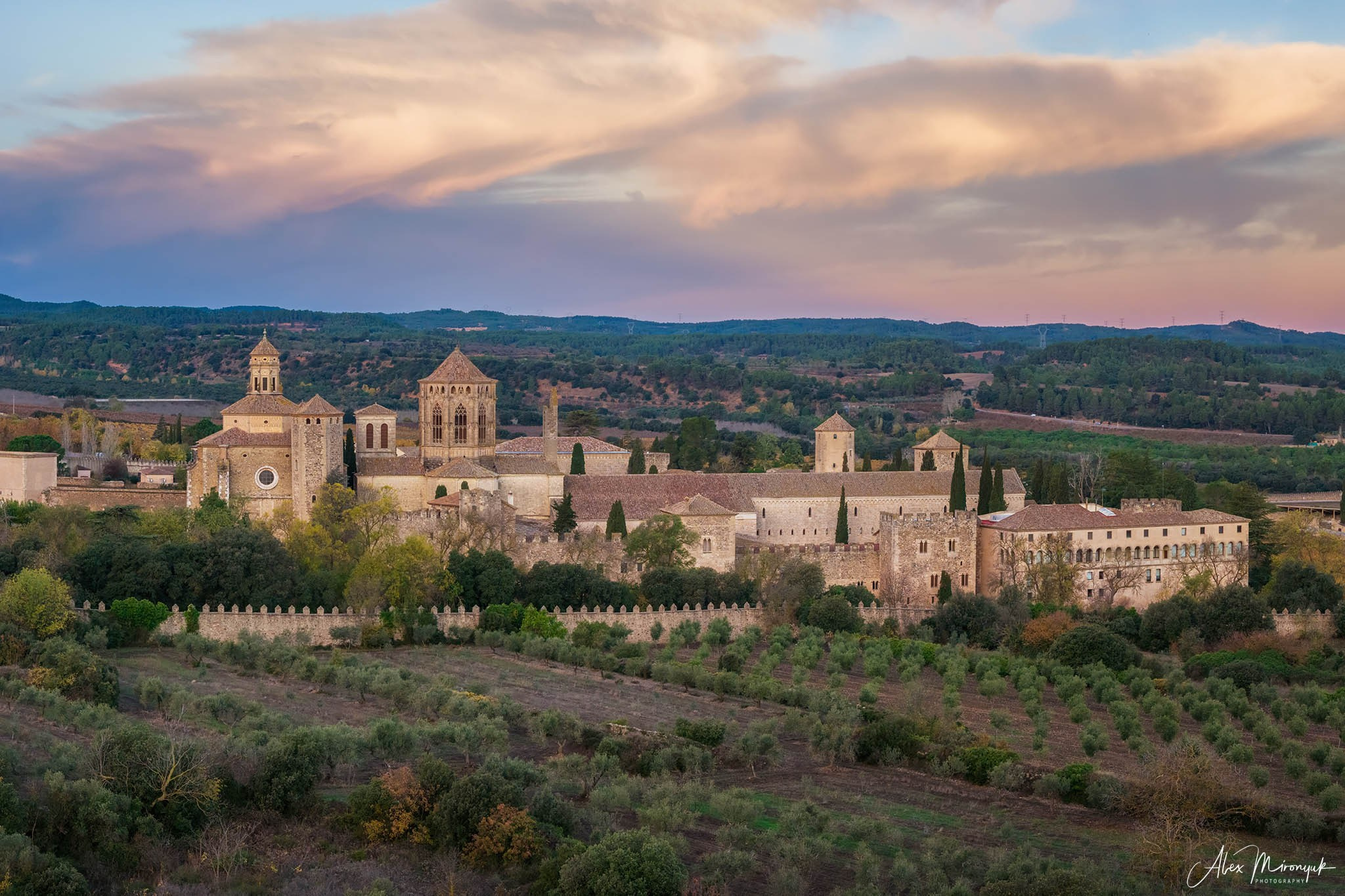 Catalonian Medieval Castles. Pet, Senior, Landscape, portrait studio, photographer in Miami and Sou