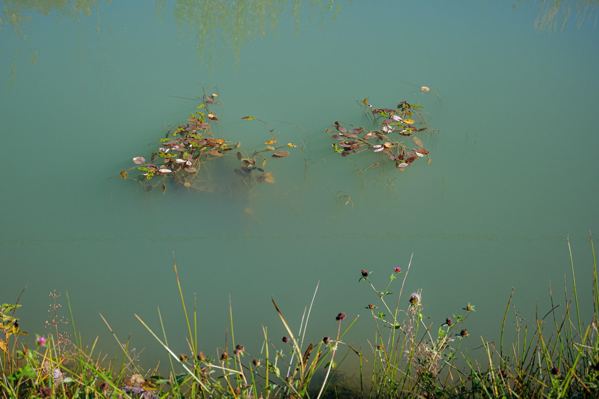 Petr Ya. Photopolygon Mag