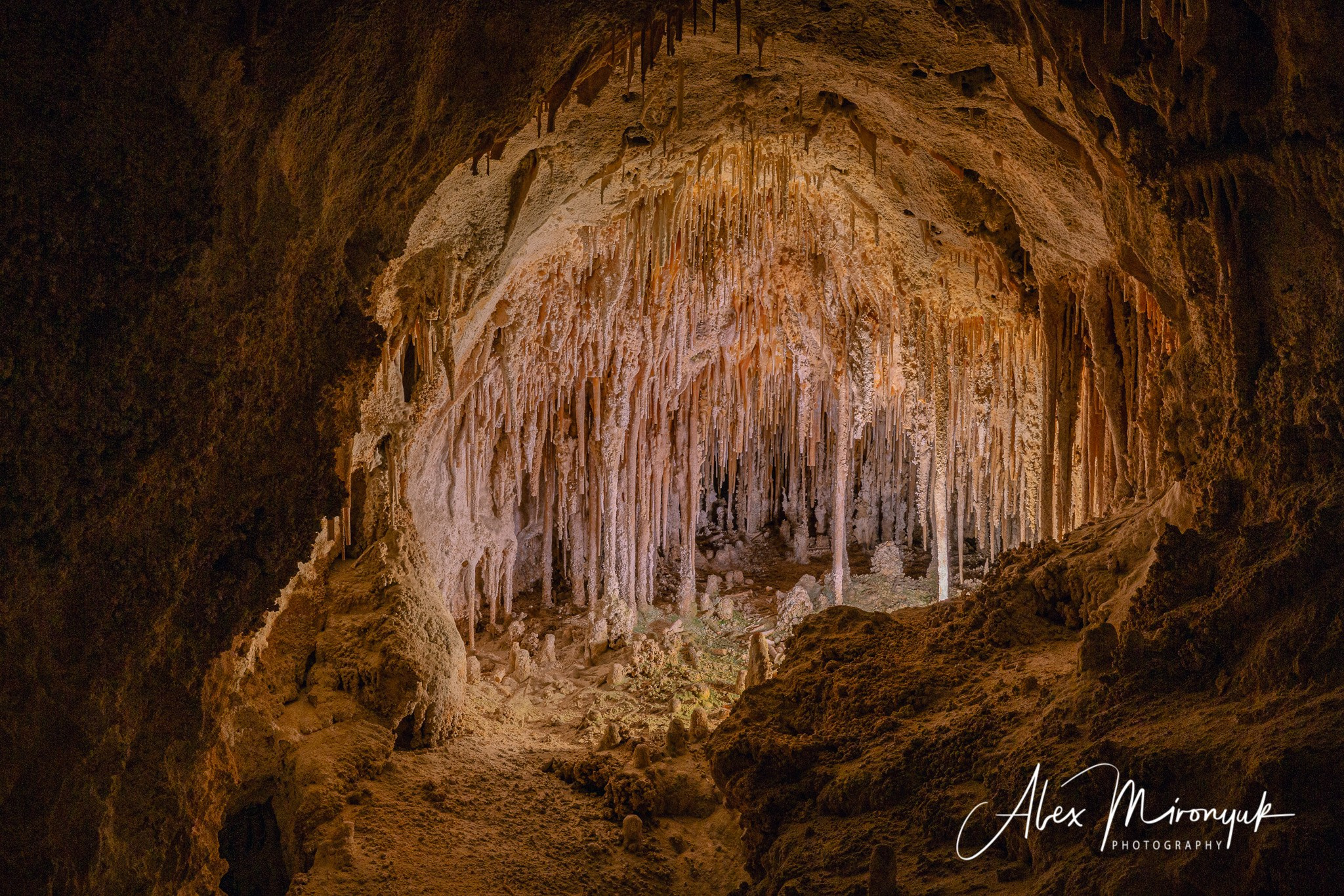 The Best of New Mexico. Pet, Senior, Landscape, portrait studio, photographer in Miami and Sou