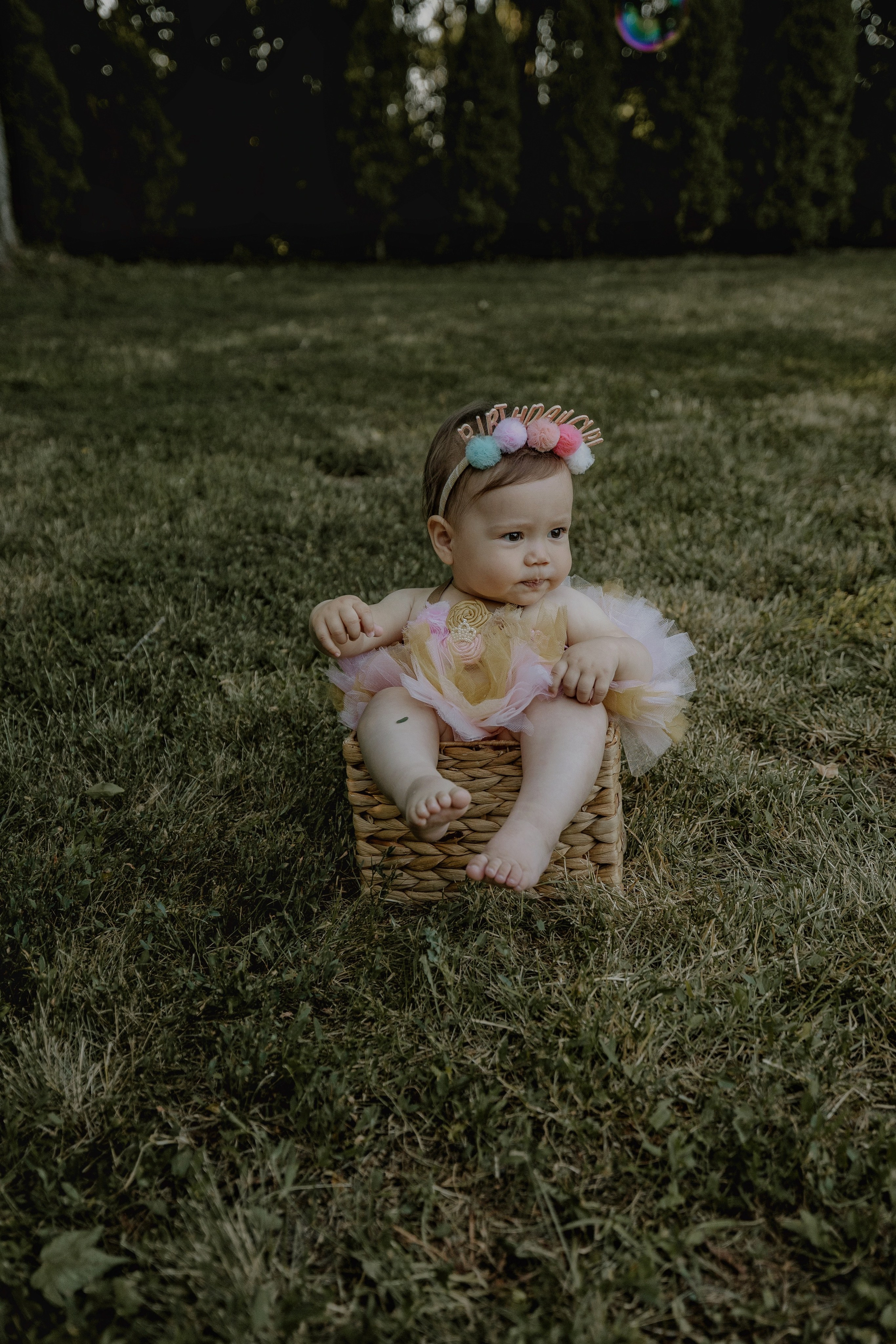 1 an de calatorie sub soare, minunata Hana!. Emotions Photo Art