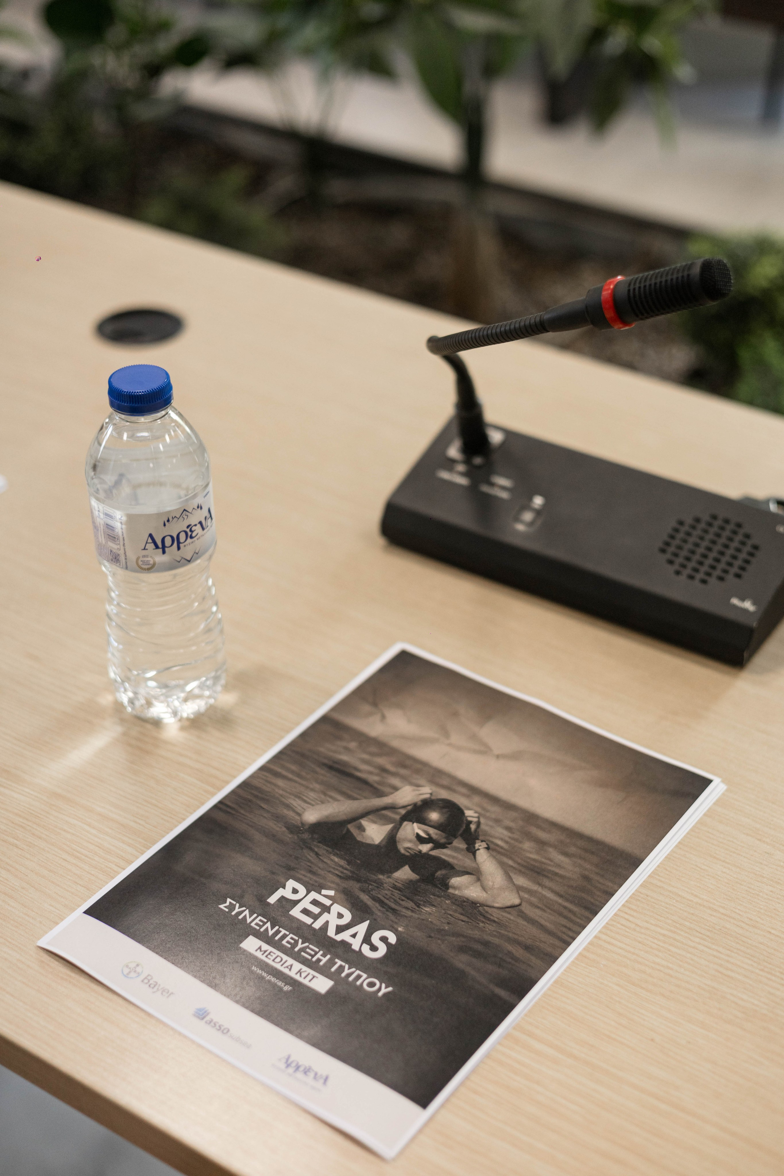 Conference materials prepared before the event