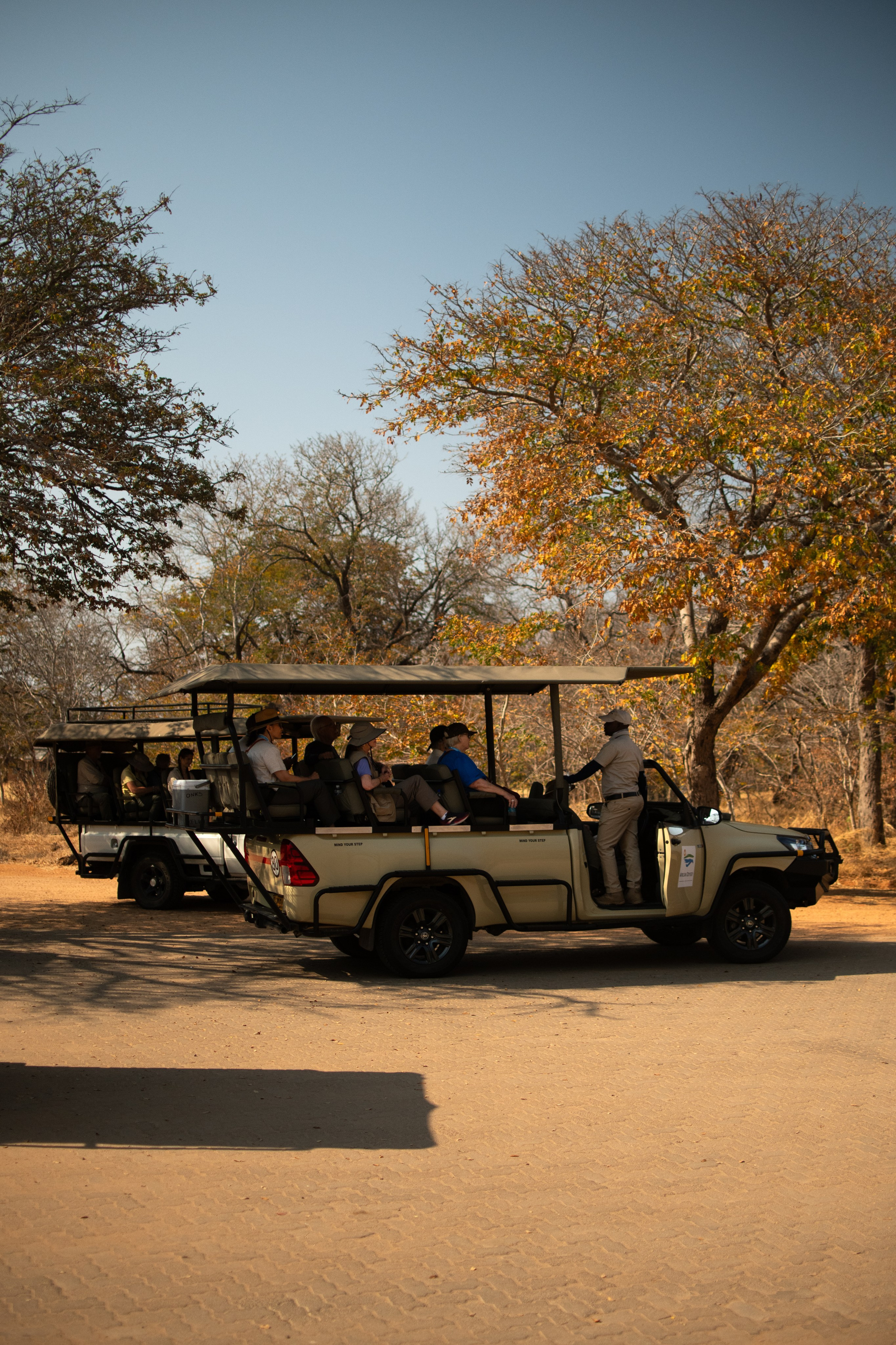 Safari. Photographer Evgeniia Zorina