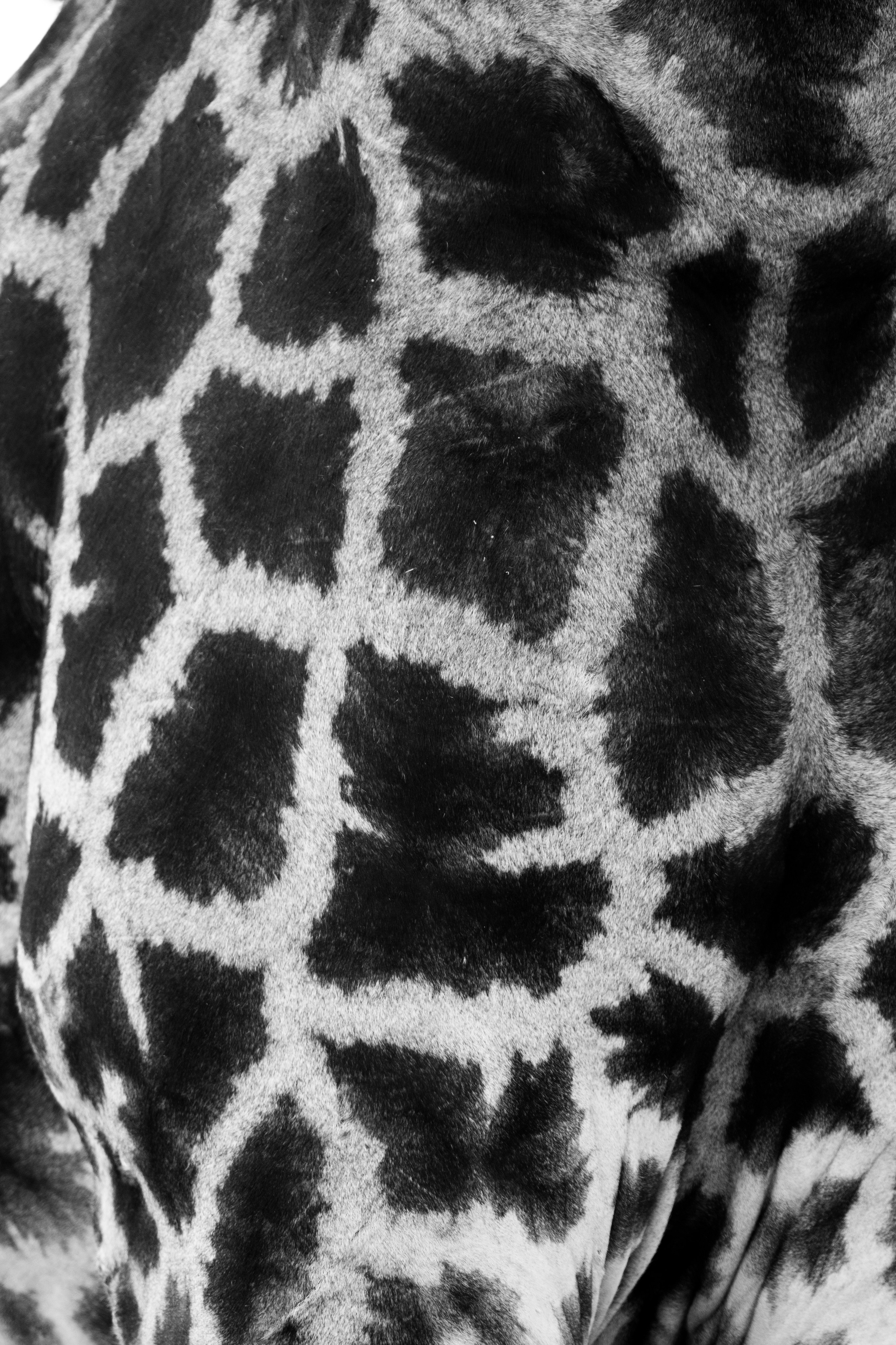 Safari. Photographer Evgeniia Zorina