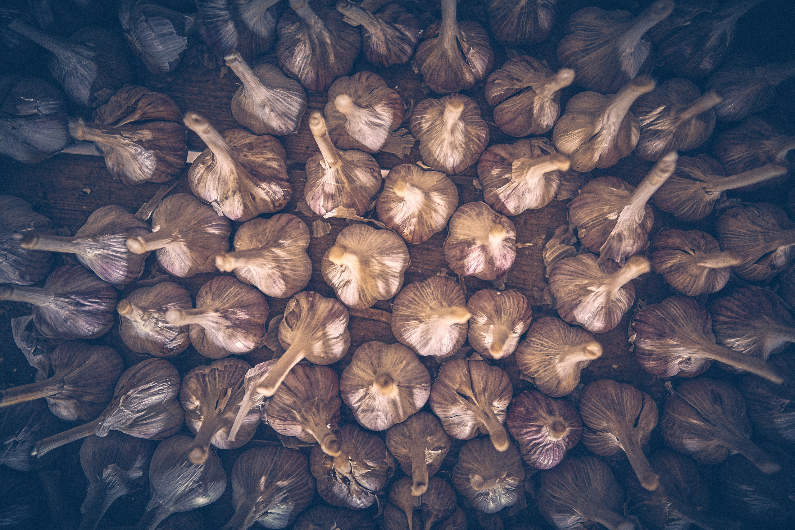 Chatka Pradziadka. Andriej Szypilow — Photography & Videography