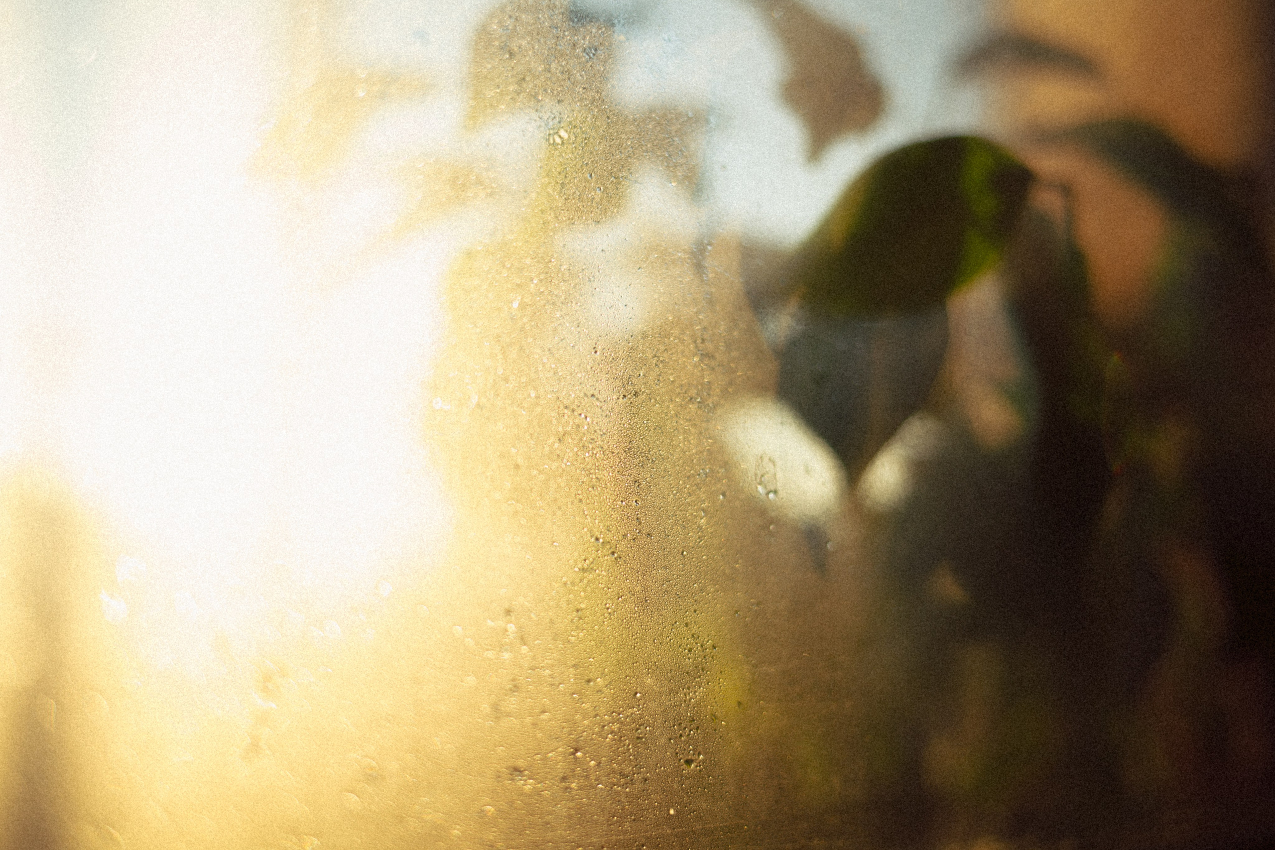 Stills from a Movie That Never Existed — Conceptual Photography by Marina Kálcheva. Marina Kálcheva — Photographer, Videographer & Visual Artist in Barcelona