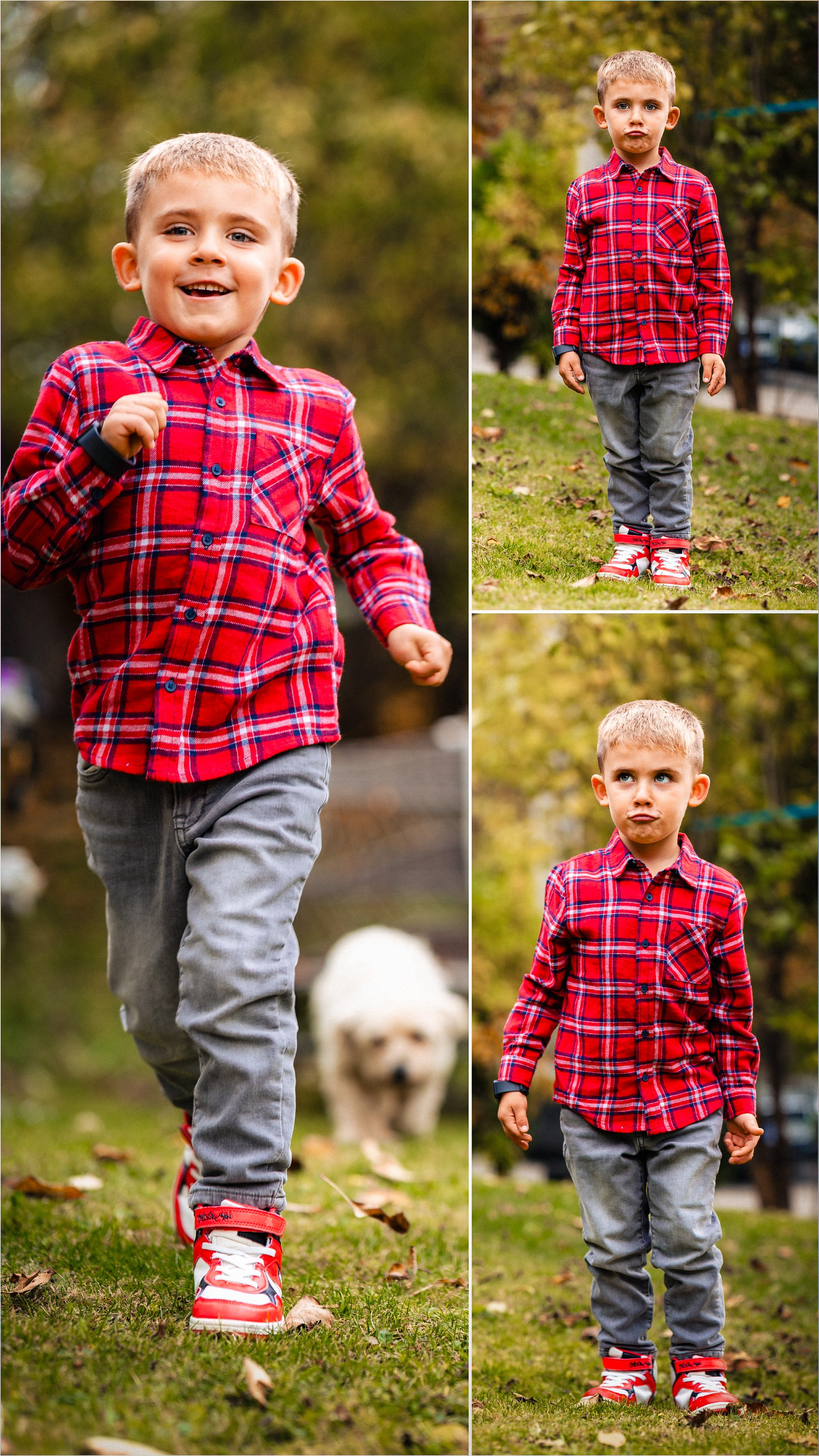 Family Portrait Gallery — Moments That Matter. ShutterSquad.ro