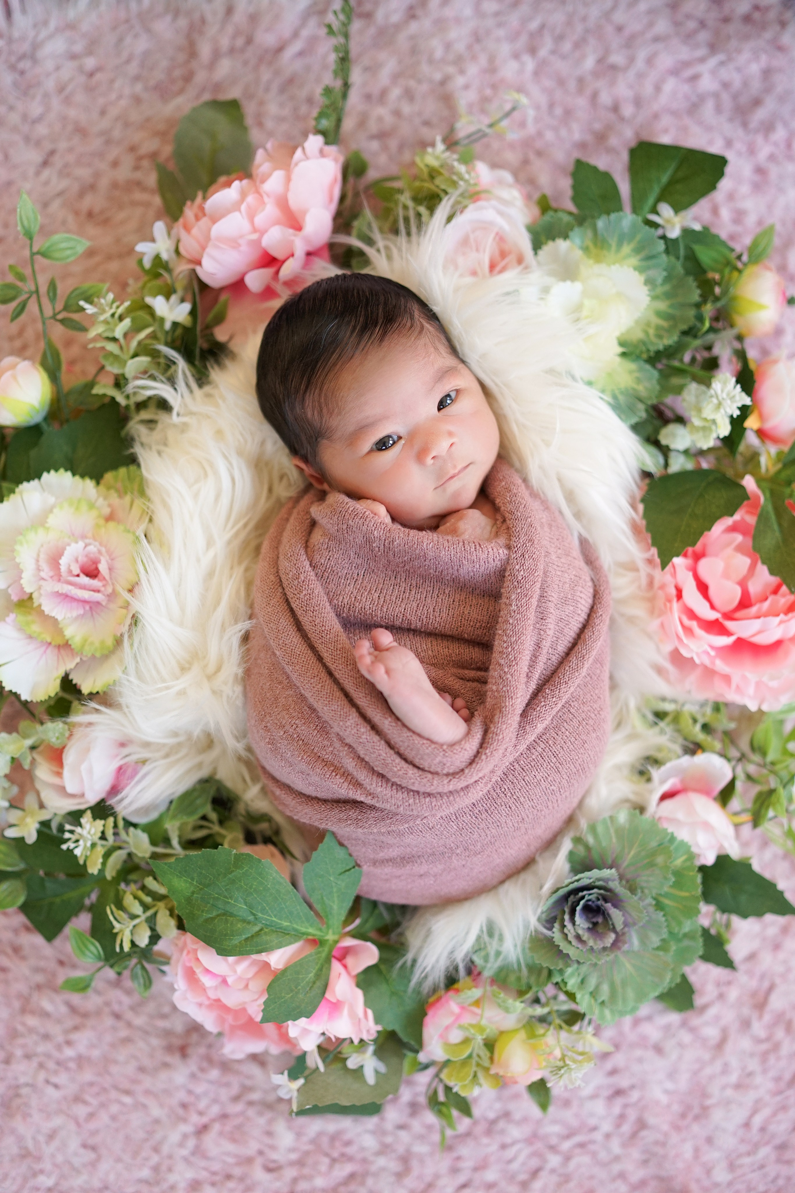 Posed Newborn. Maternity, family and newborn photography in San Francisco Bay Area