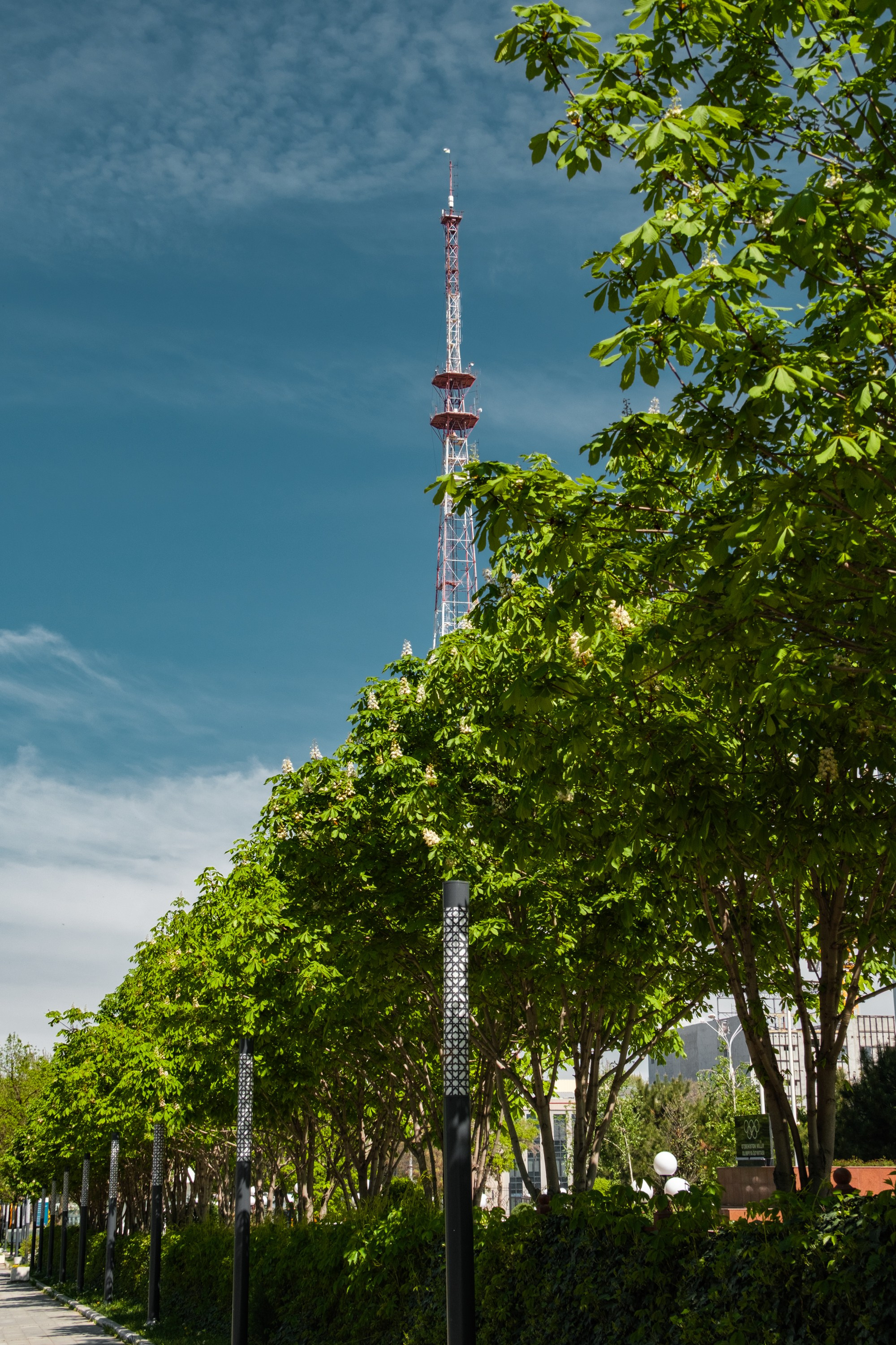 Обзор на объектив 16-300мм Sigma. Личные впечатления и опыт использования. Фотограф Григорий Кравец