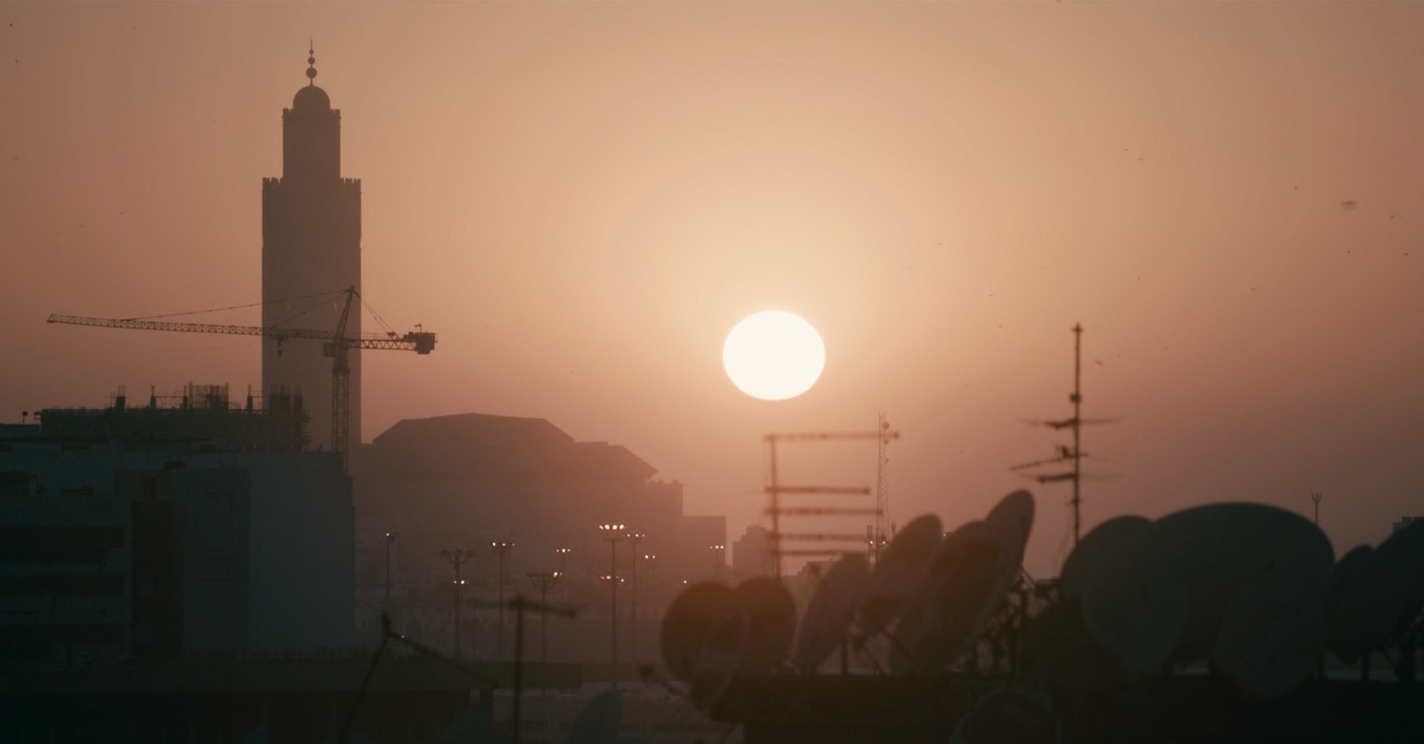 Haqiqa. Singularity Film