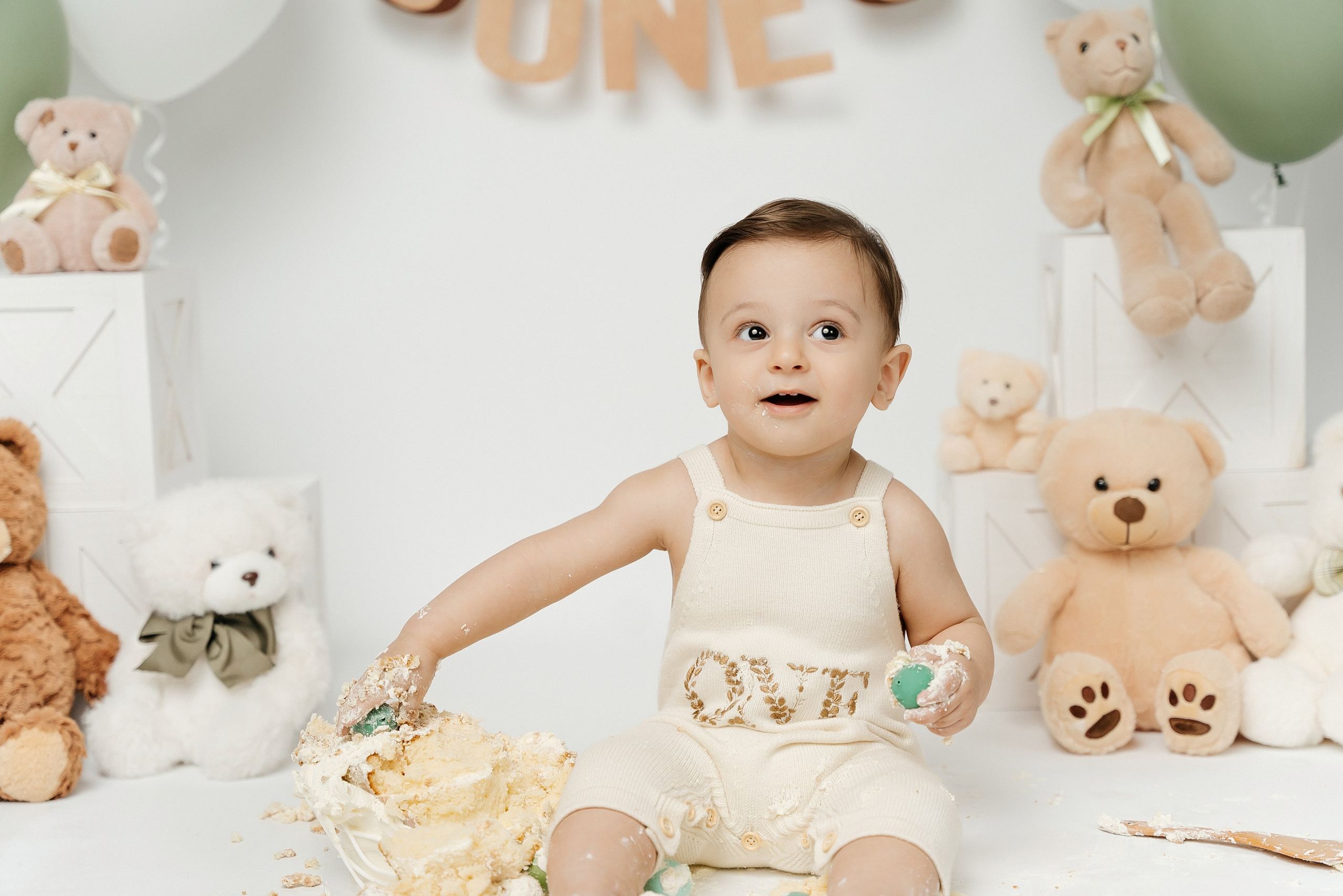 Teddy Bear One Year Cake Smash Photos. Newborn and family photographer. Hills District. Sydney