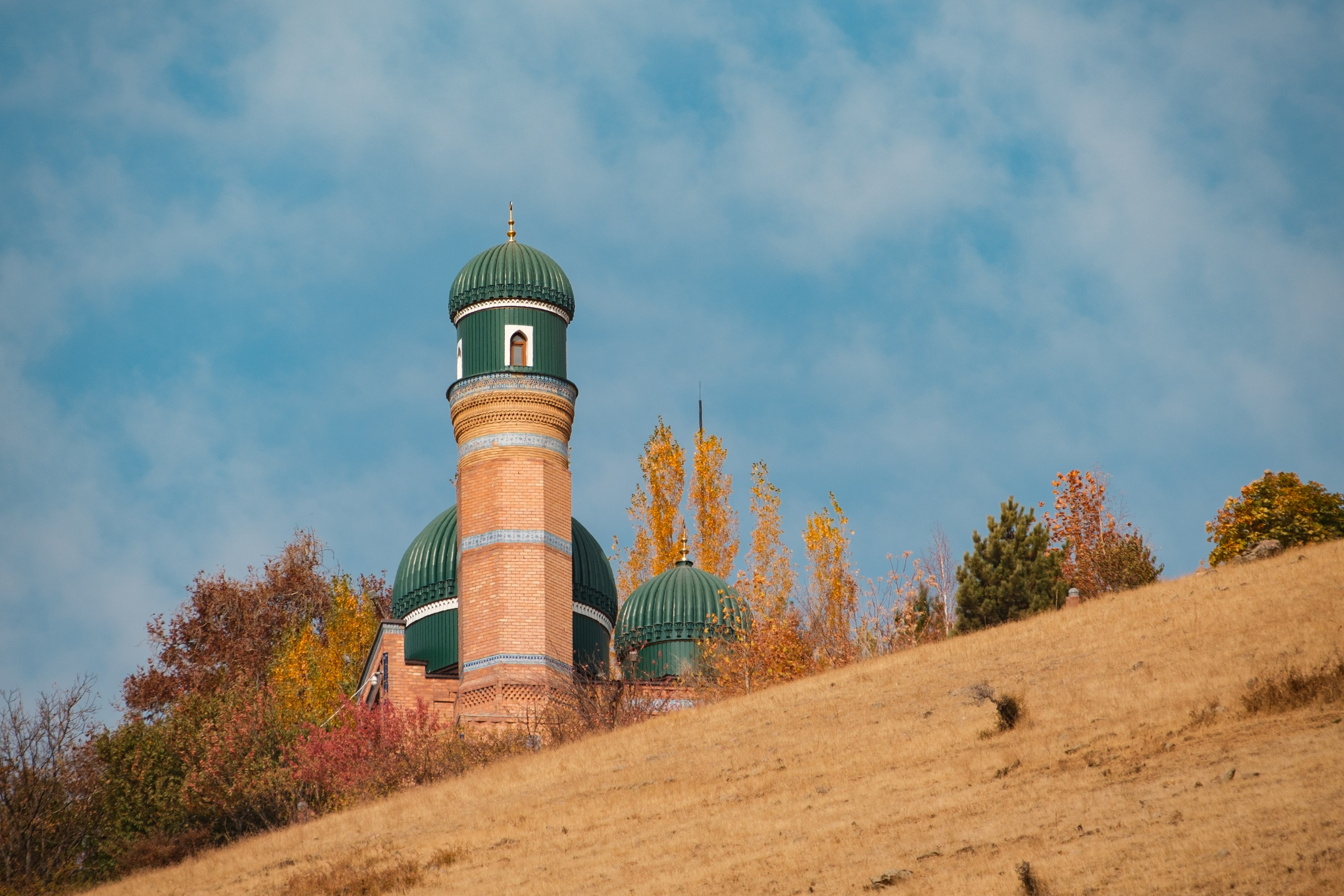 Обзор на объектив 16-300мм Sigma. Личные впечатления и опыт использования. Фотограф Григорий Кравец