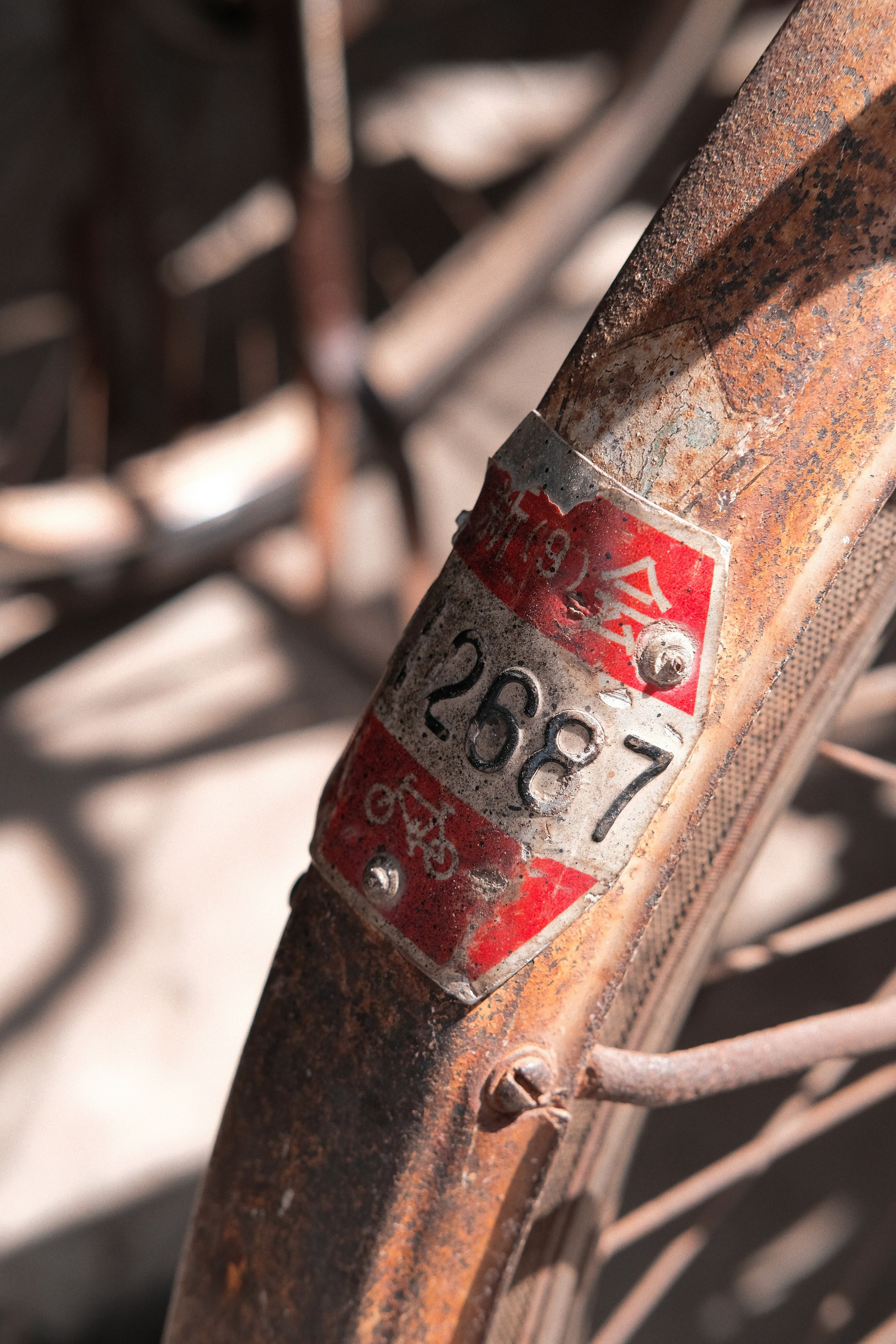 Dongling Village, China 东凌村 | Jiangmen, Guangdong Province