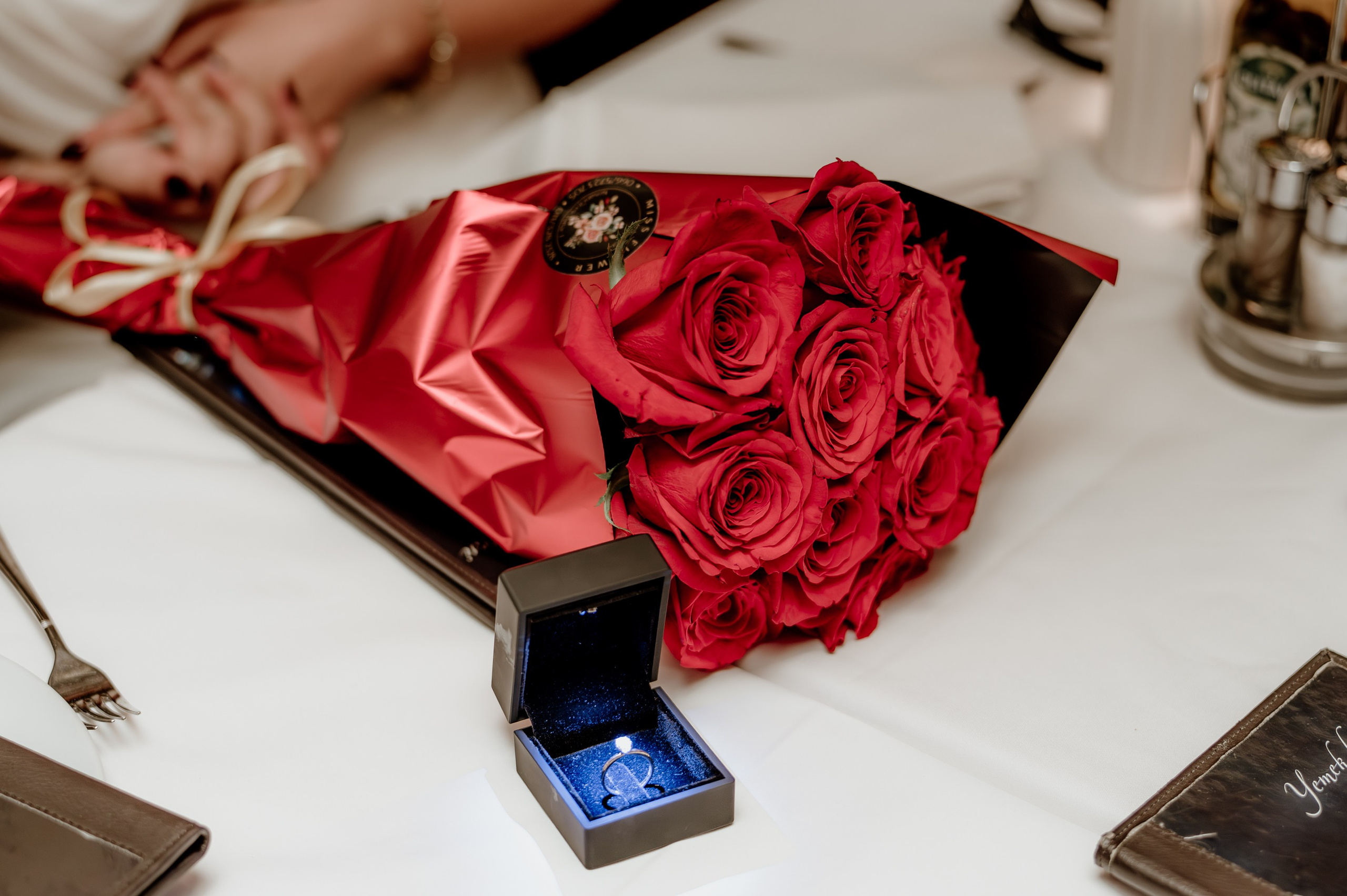 Engagement Photography. Bojana Žuža, photographer in Belgrade, Serbia