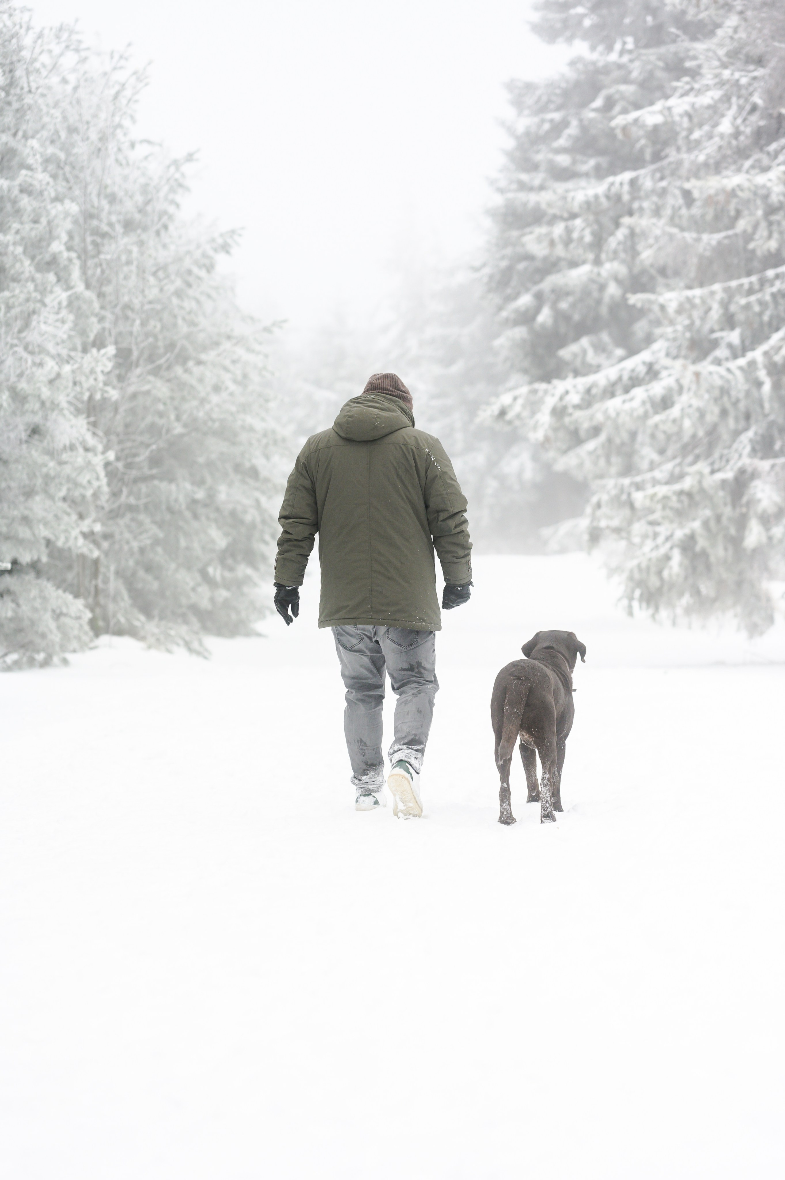 Unvergessliches Winter-Hundeshooting im Erzgebirge. RawPeek