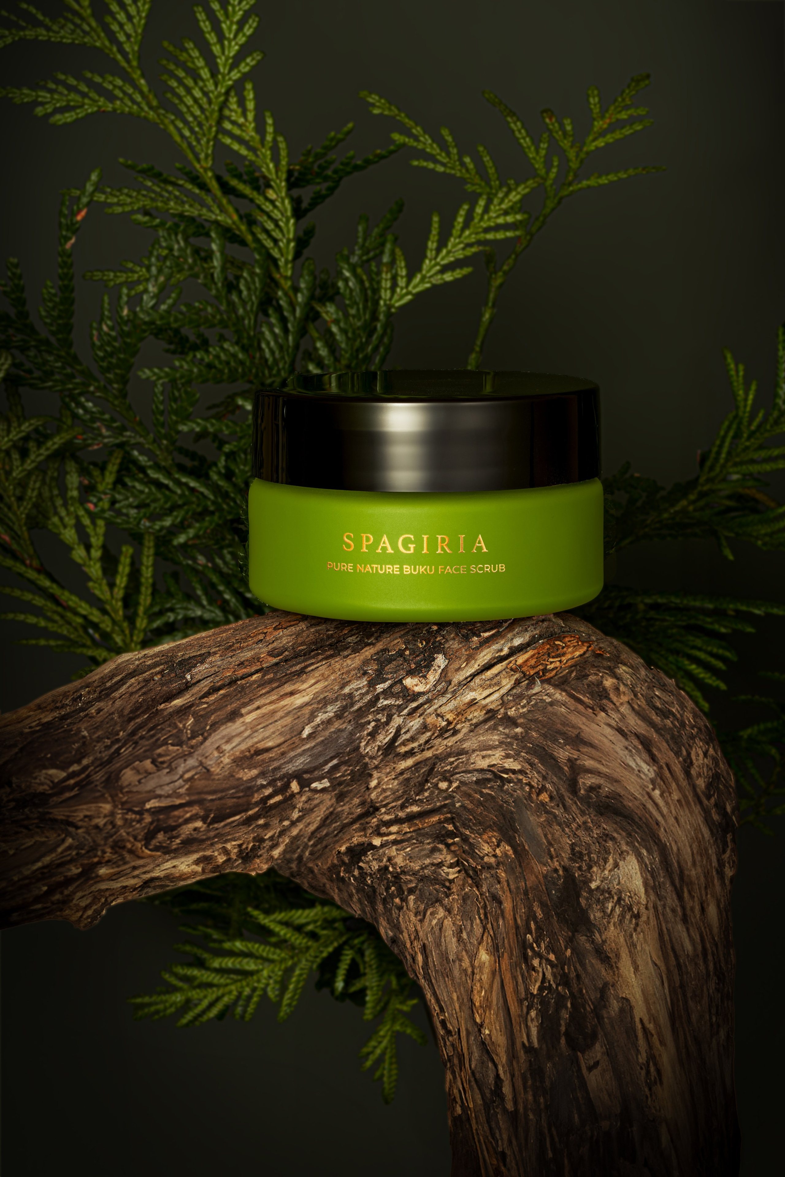 Studio shot of premium beauty products