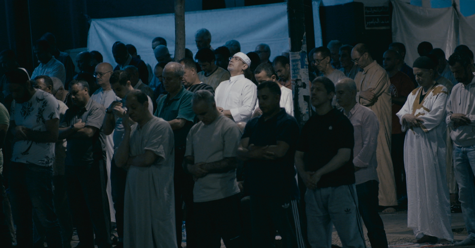 Haqiqa. Singularity Film