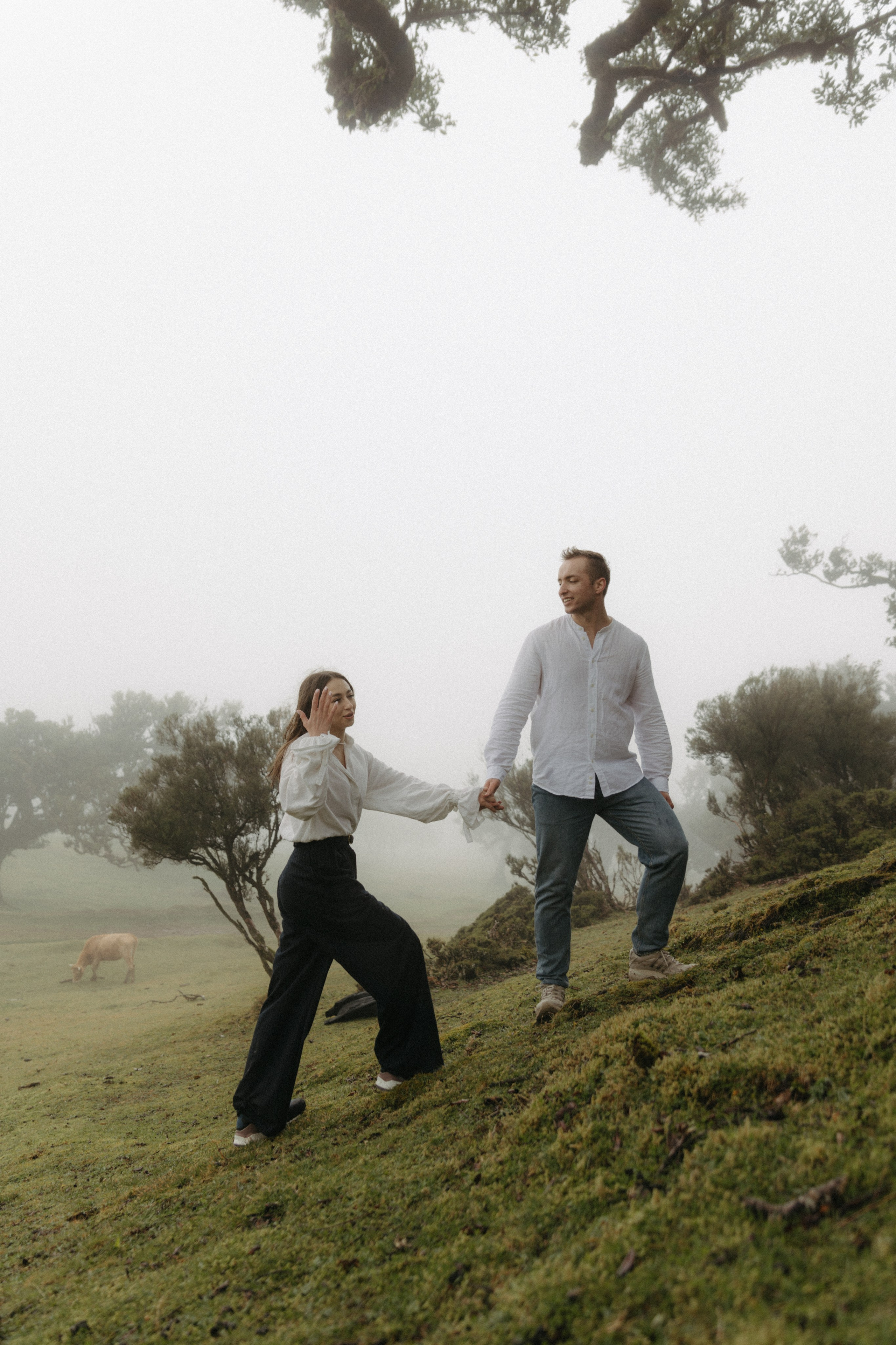 Magic of Fanal Forest. Wedding photographer and videographer based in Timisoara, Romania