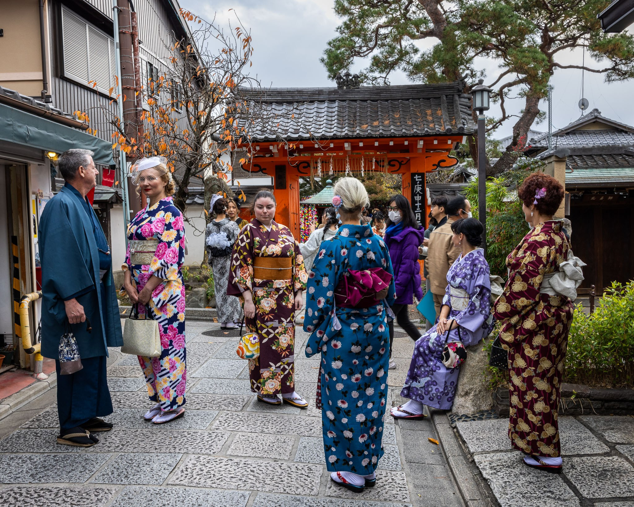 Autumn Colors of Japan. Pet, Senior, Landscape, portrait studio, photographer in Miami and Sou