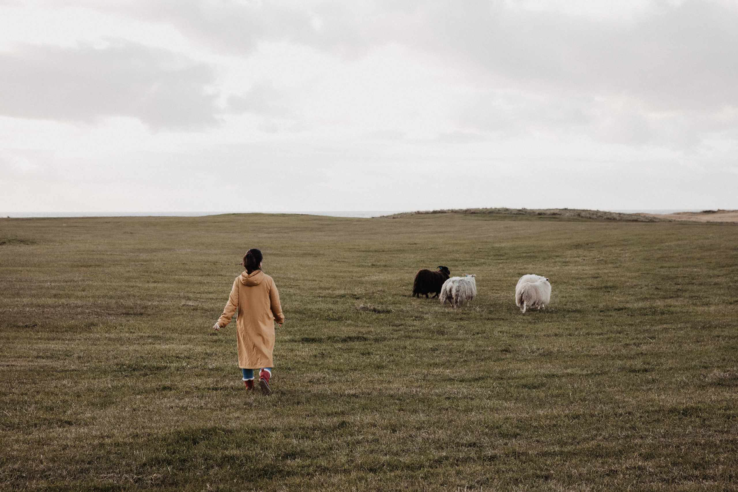 Engagement photoshoot in Iceland. Iceland elopement photographer & videographer