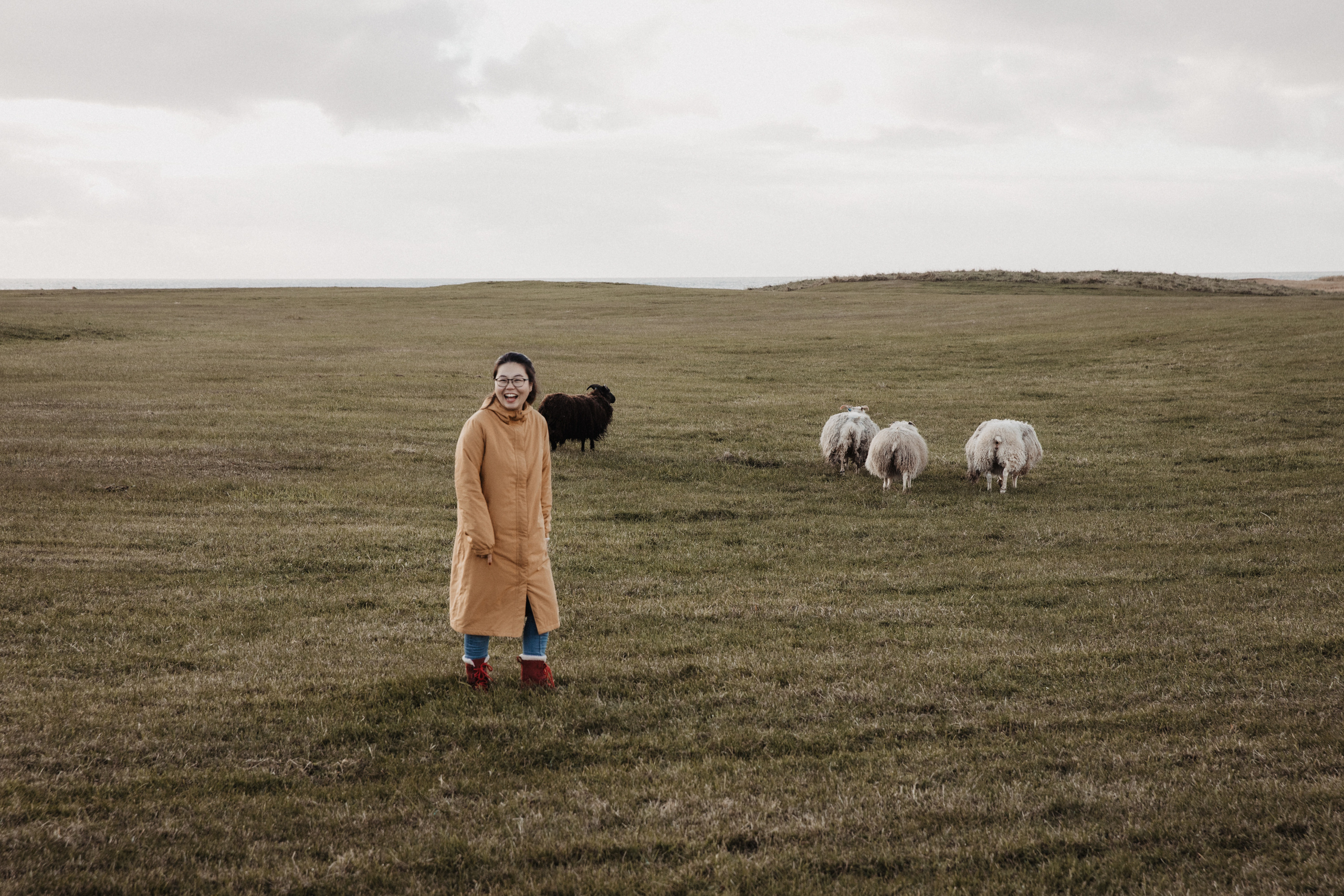 Engagement photoshoot in Iceland. Iceland elopement photographer & videographer