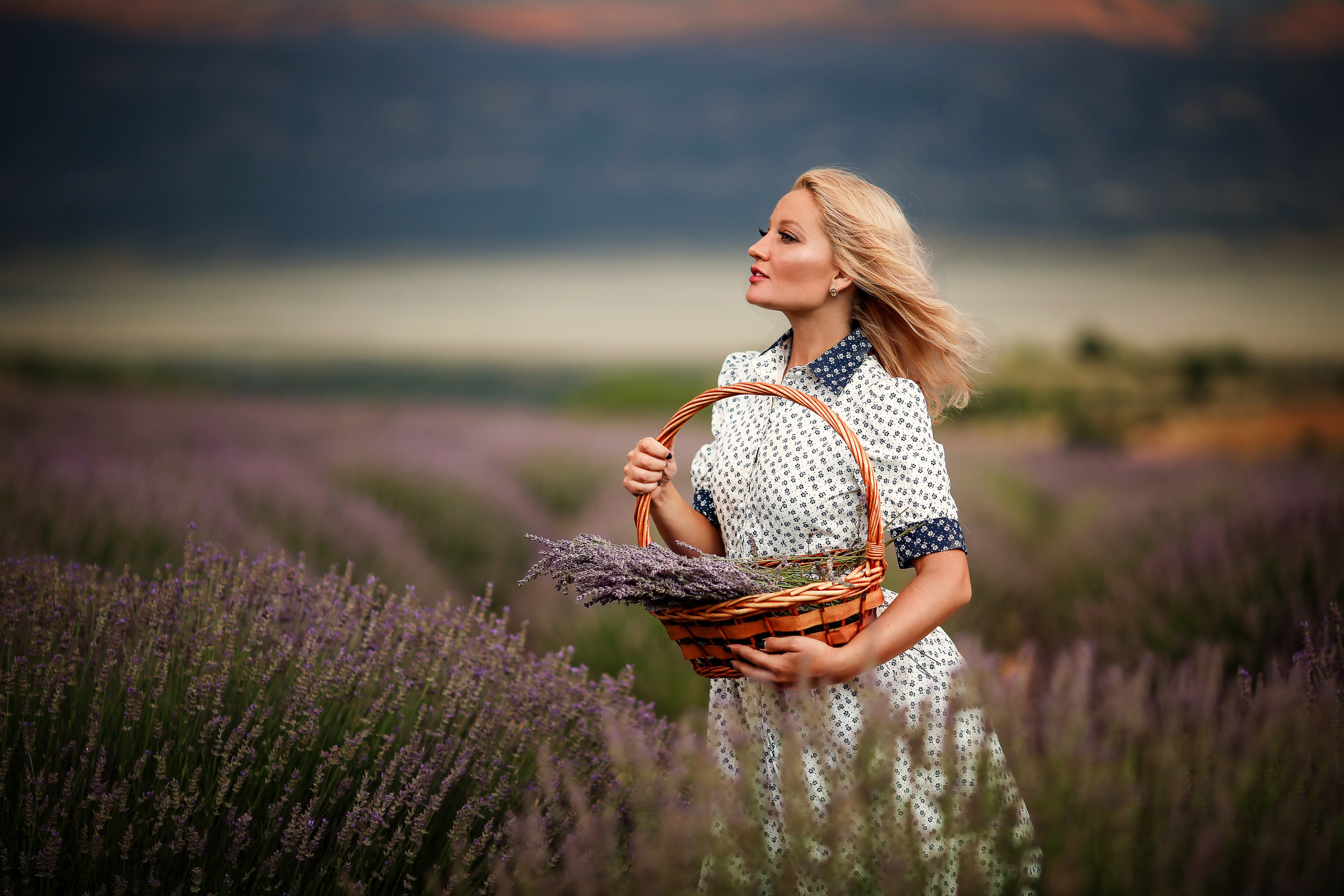 Lavender fields in Turkey. Photographer in Turkey, Antalya, Kemer, Belek, Side, Kas, Fethiye