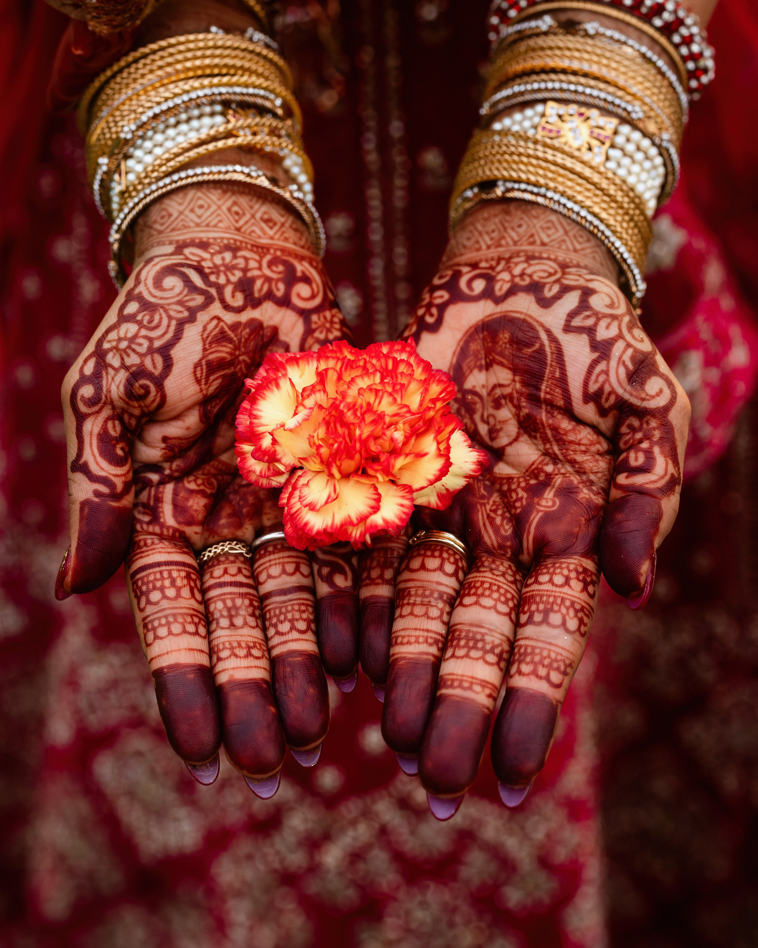 Daniel’s and Ruchi Fusion Wedding Celebration at The Venue At Rose Spring Farm. Wedding and portrait photography in Greenville SC