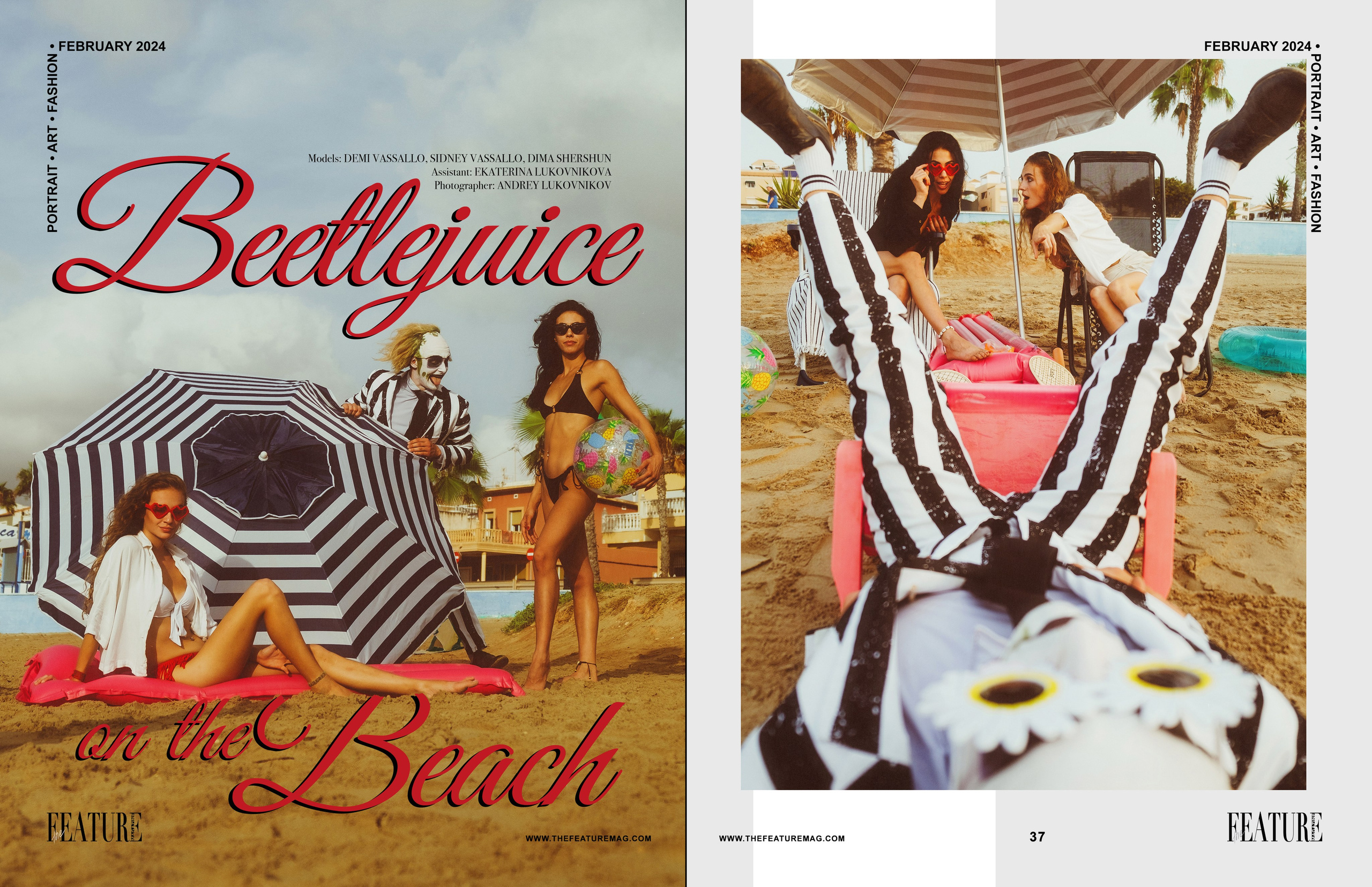 The best publications of the project Beetlejuice