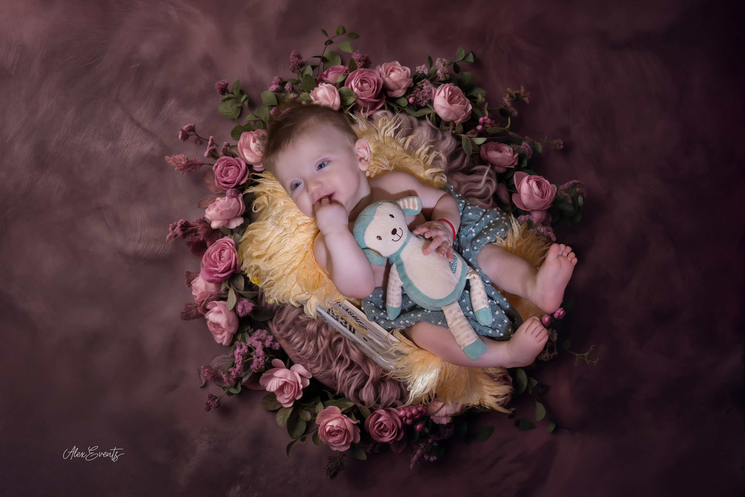 AlexEvents Fotograf / Videograf de evenimente Danemarca DK Horsens, Arhus, Odense, Vejle.Nunta, botez, foto-studio