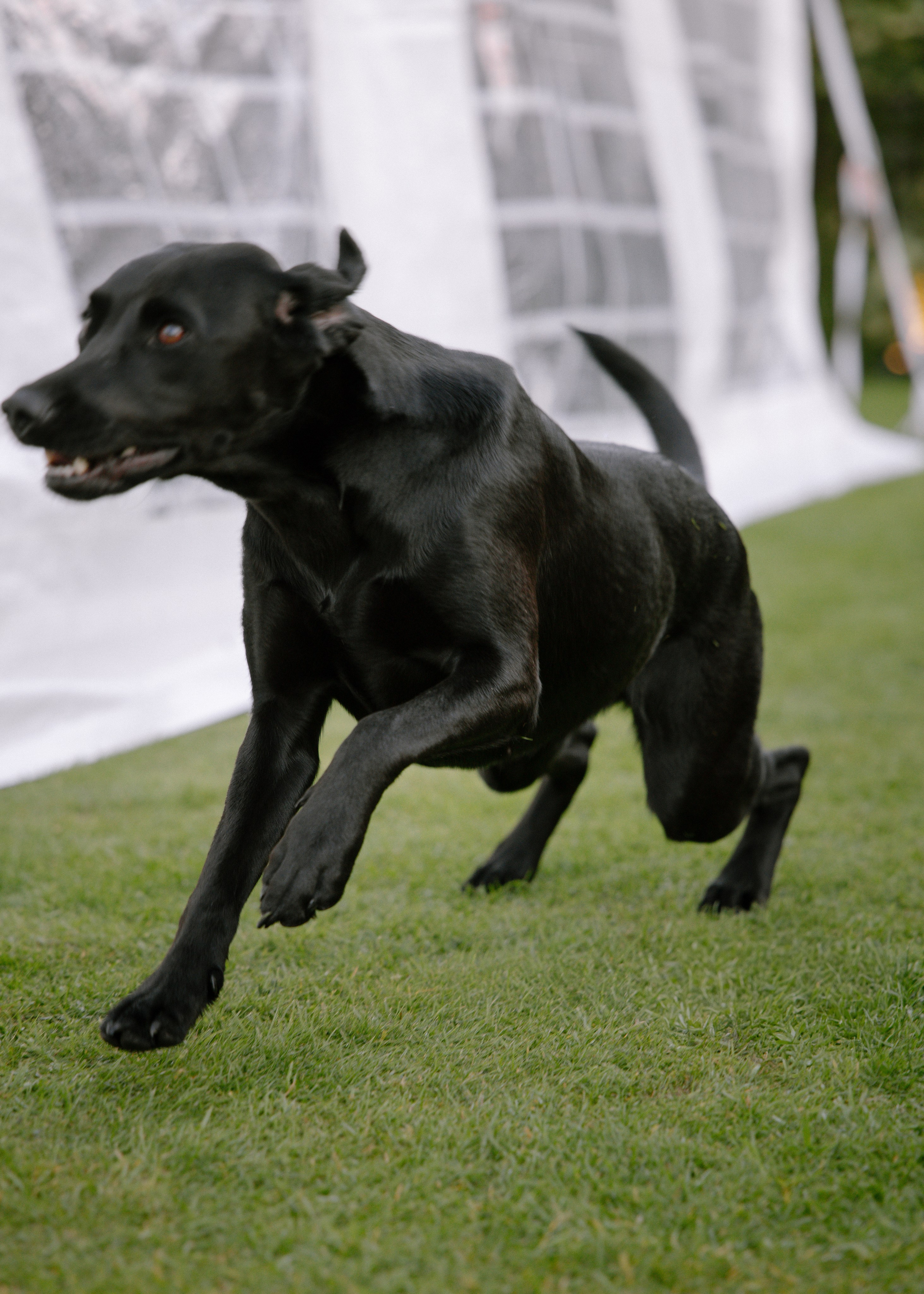 Intimate and emotional wedding. Timeless Wedding & Event Photography from London to the world