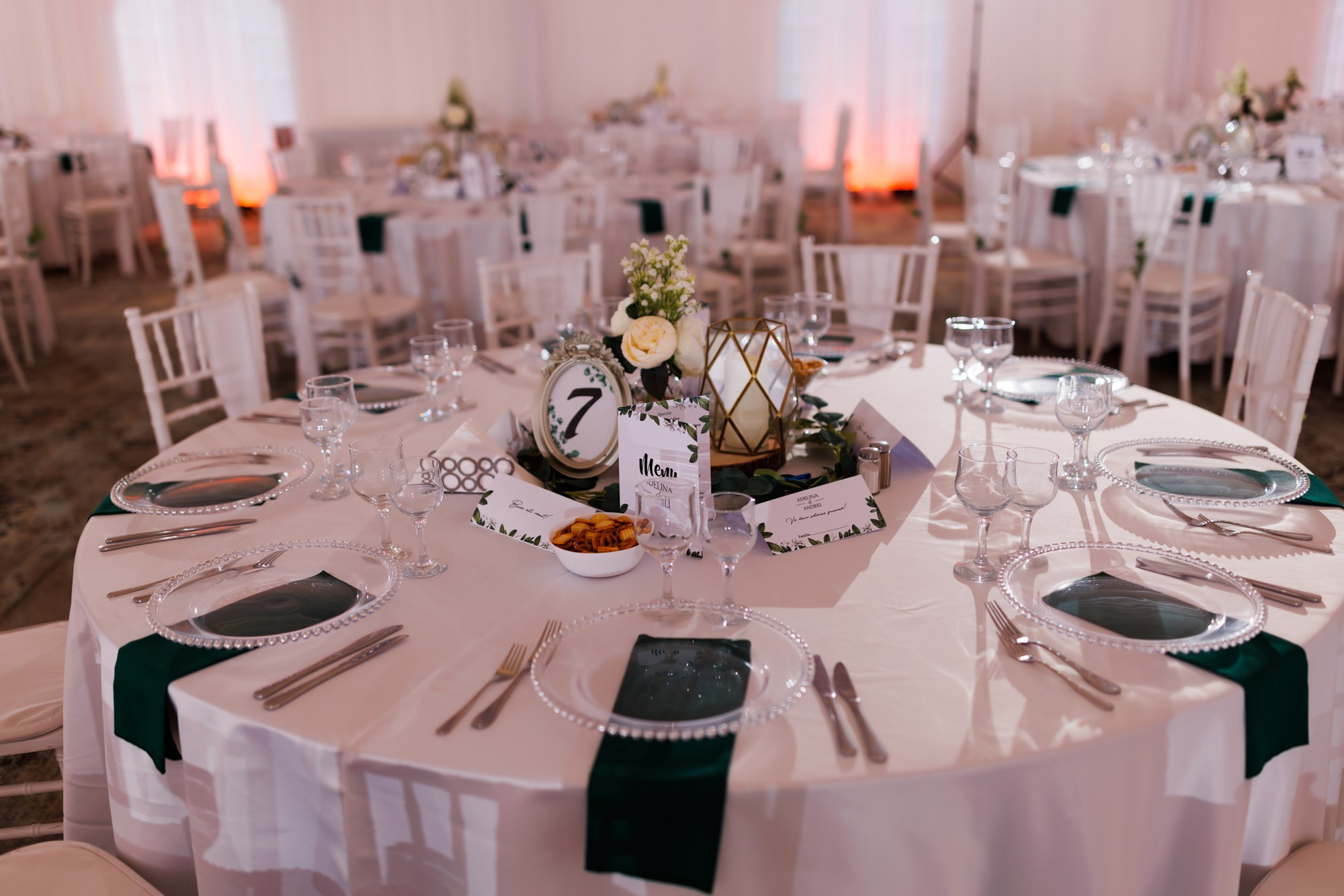 Andrei si Adelina. Wedding photographer and videographer