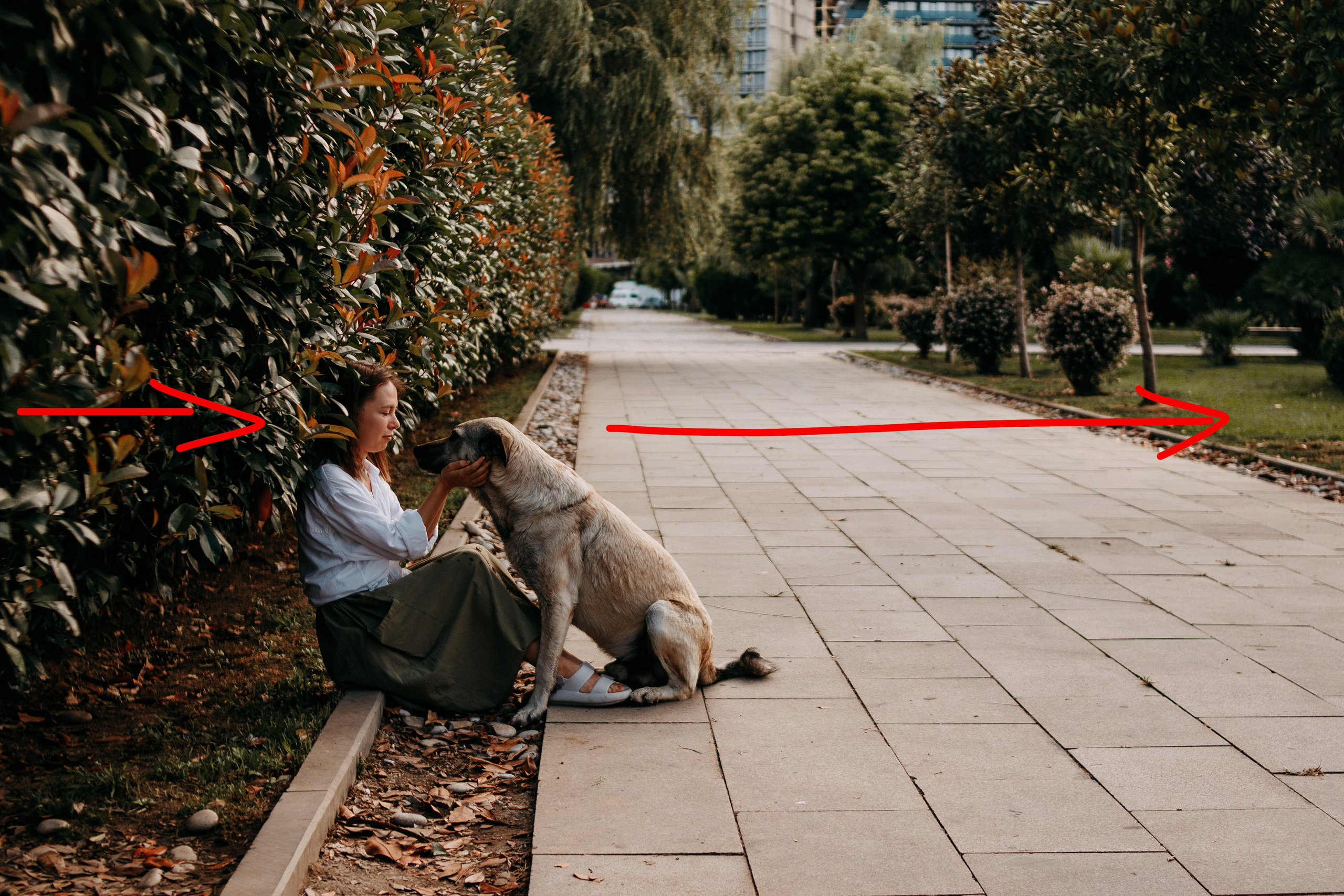 Урок 7. Основы композиции. Свадебный и портретный фотограф в Белграде Екатерина Македонская