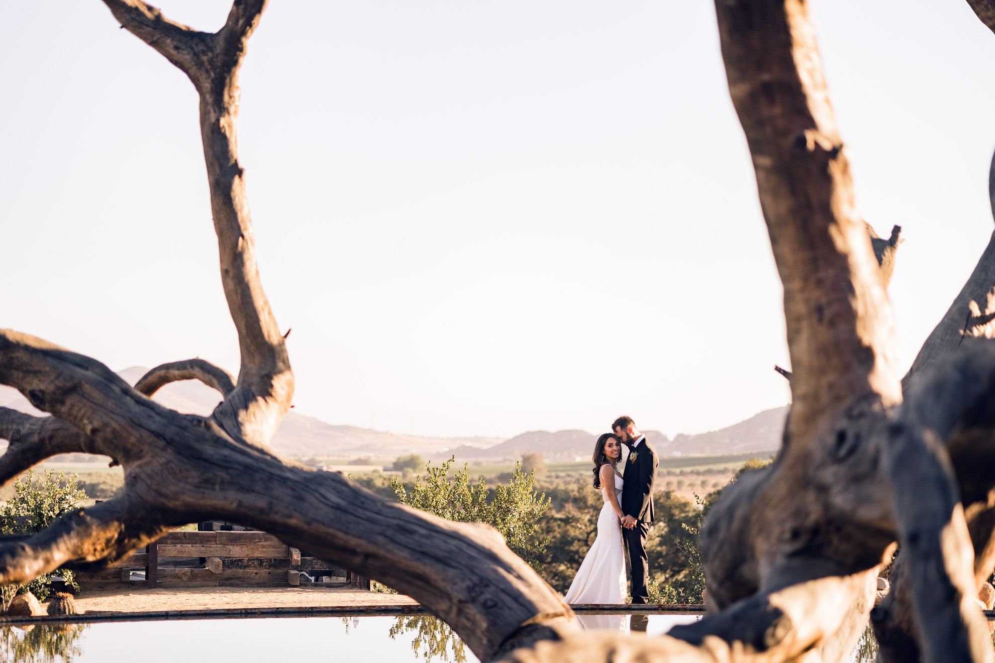 Bruma, Valle de Guadalupe Boda Matt y Ruth. Estudio de fotografia en Tijuana