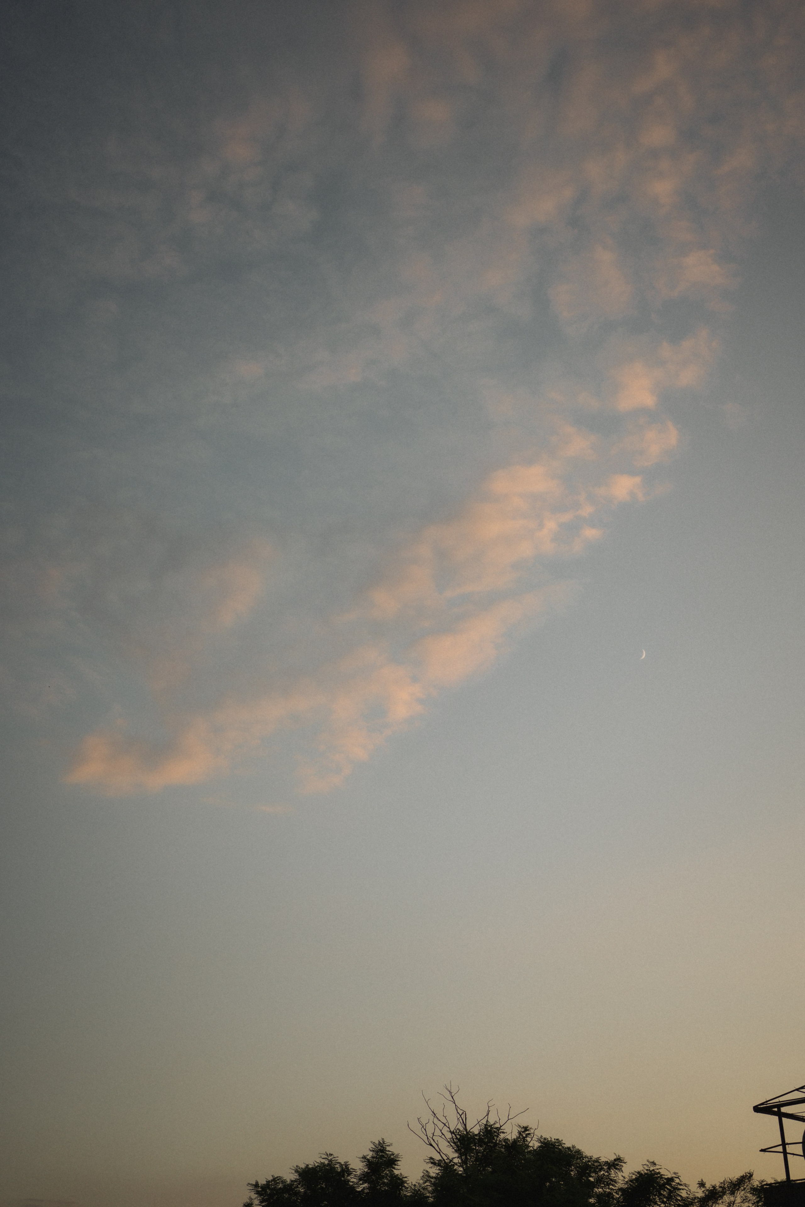 Victoria & Cristian | Wedding at Province Timisoara. Wedding photographer and videographer based in Timisoara, Romania