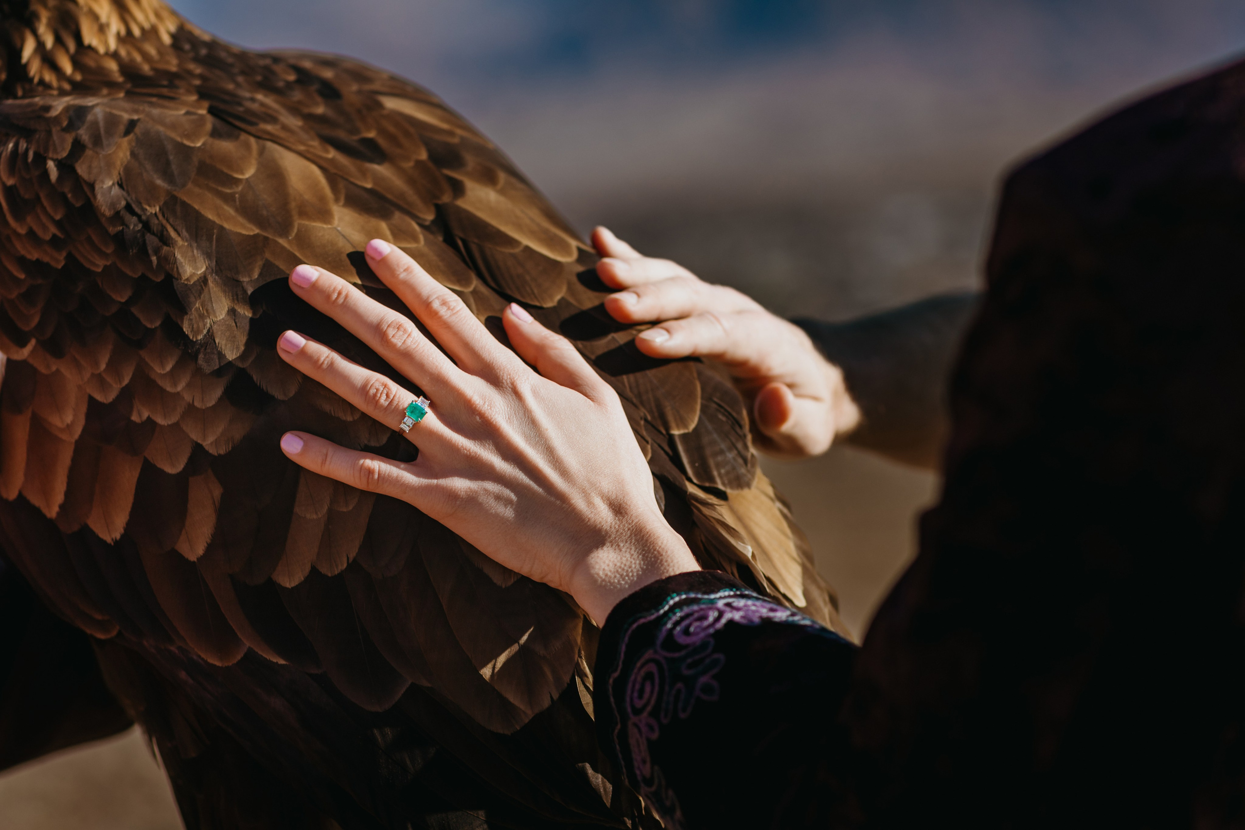 Предложение Дэниела и Джесс — Иссык-Куль, Каджи-Сай | Оксана Шувалова фотограф — Proposal Photos Kyrgyzstan (Issyk-Kul, Kajy-Say). Фотограф в Бишкеке Оксана Шувалова