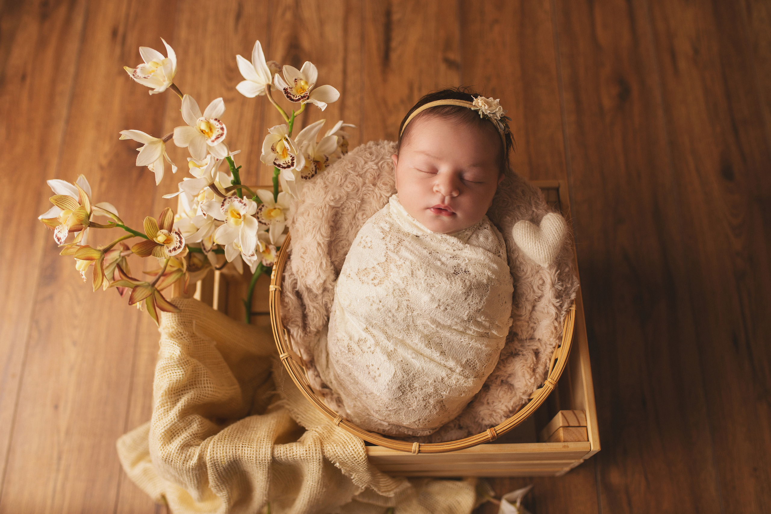 My First Year Package. A Girl. Ottawa Newborn and Baby Newborn Photographer Elena Helali